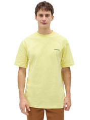 T-shirt Giallo Dickies