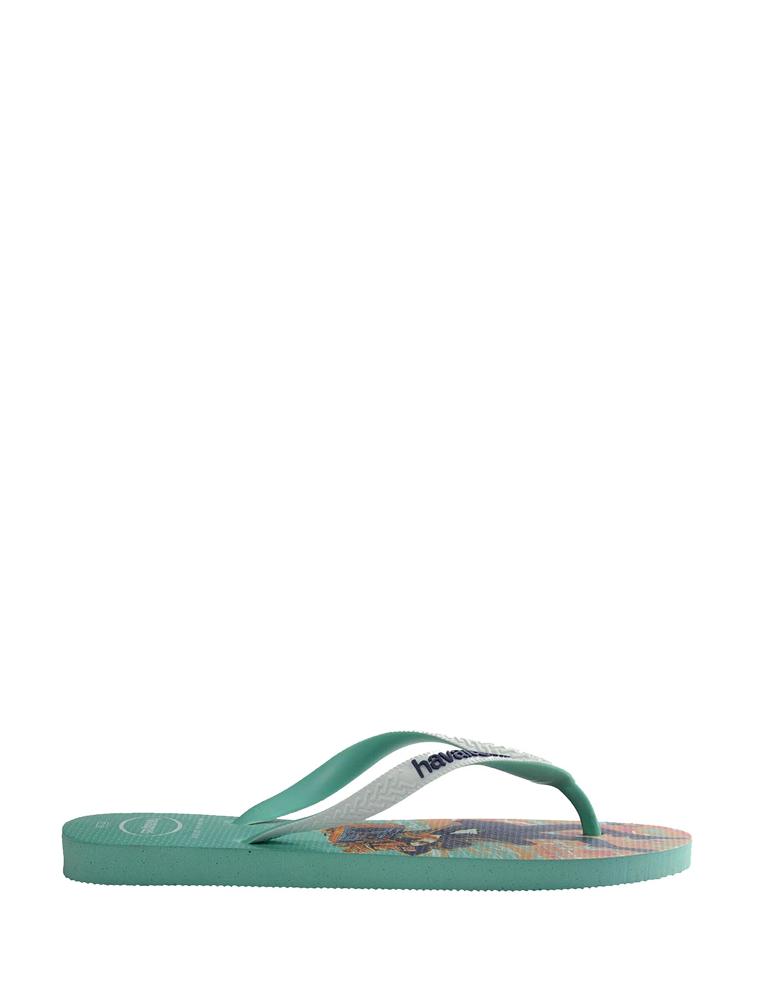 Infradito Verde Havaianas