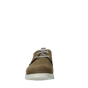 Polacchino Verde Rogers