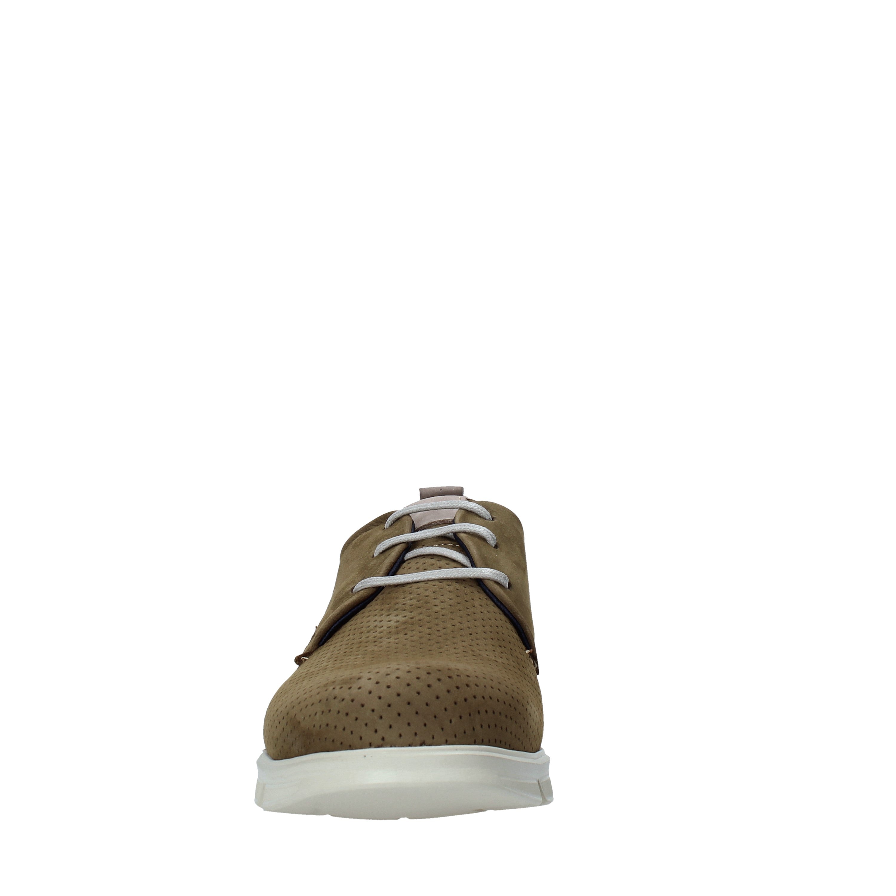 Polacchino Verde Rogers