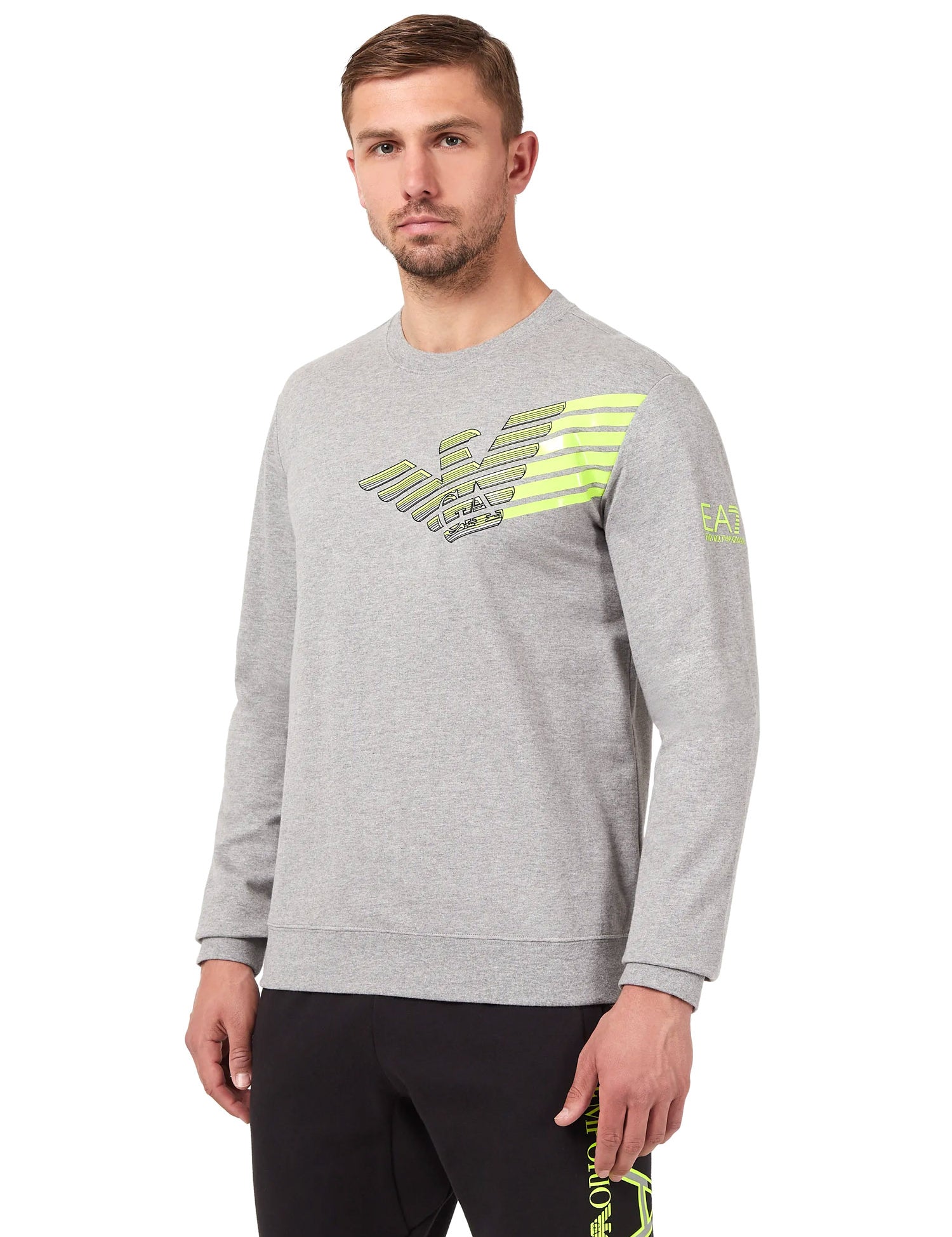 Felpe Grigio Ea7 Emporio Armani