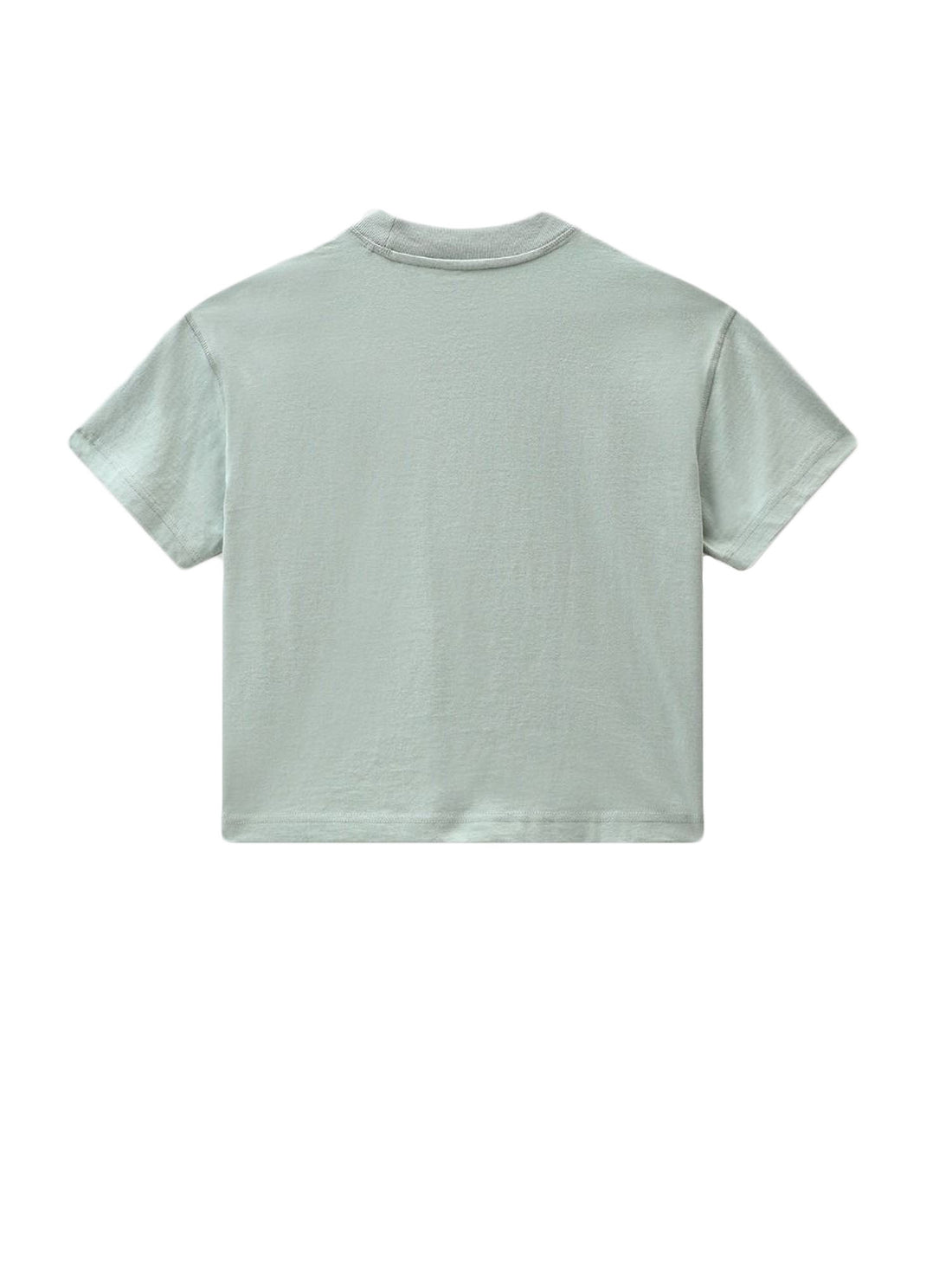 T-shirt Verde Dickies