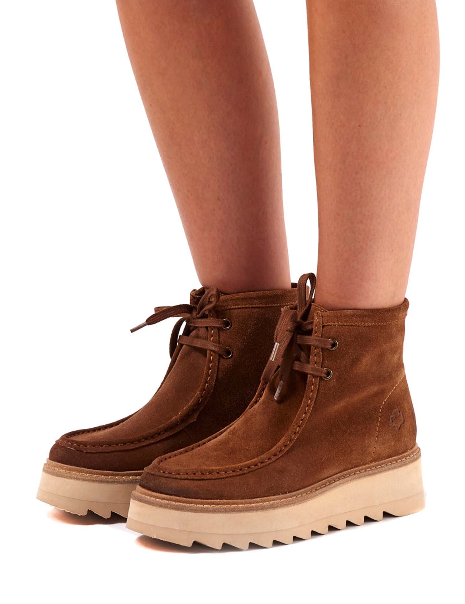 POLACCHINO Marrone Apepazza