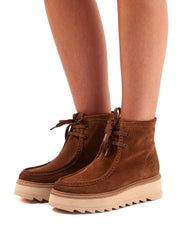 POLACCHINO Marrone Apepazza