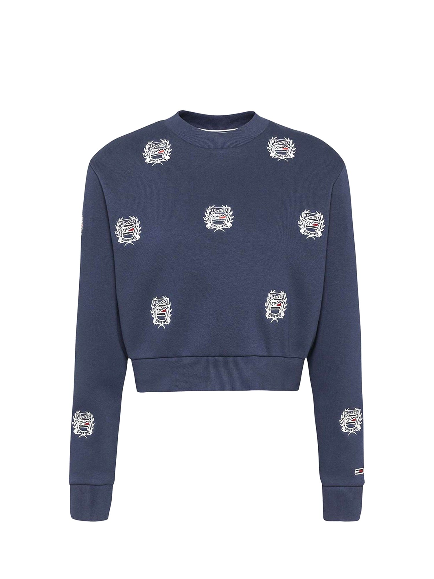 Felpe Blu Tommy Jeans