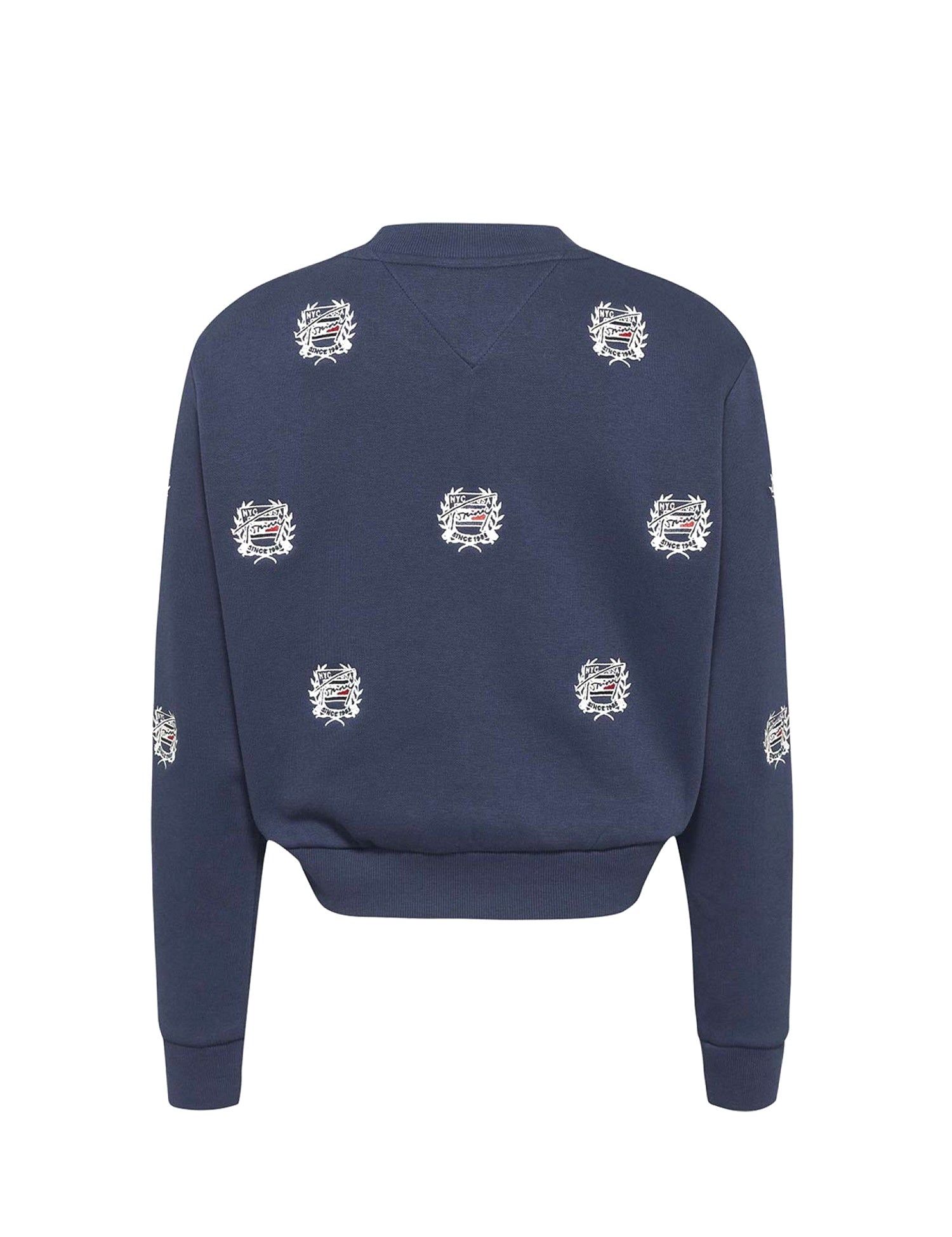 Felpe Blu Tommy Jeans