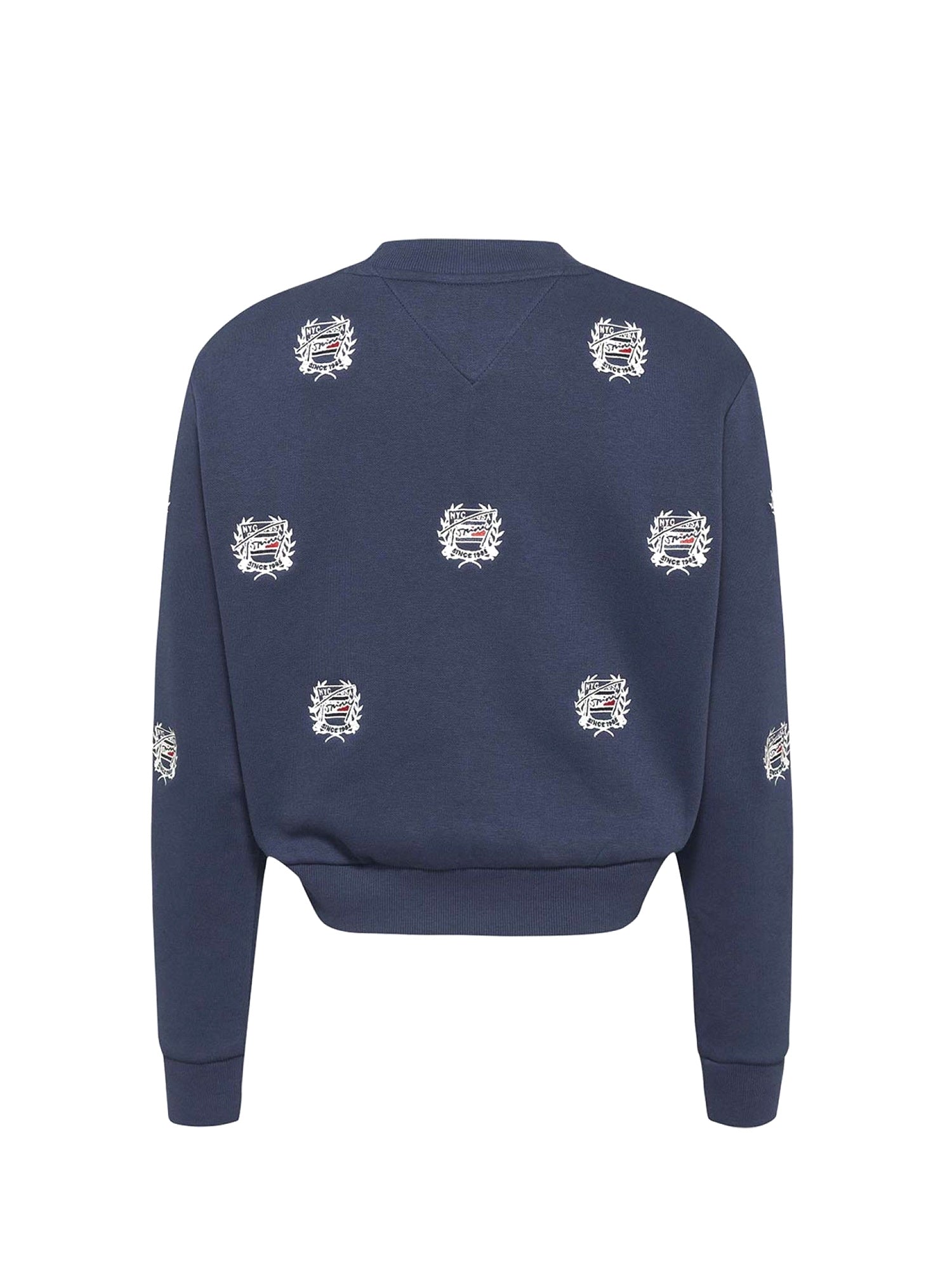 Felpe Blu Tommy Jeans