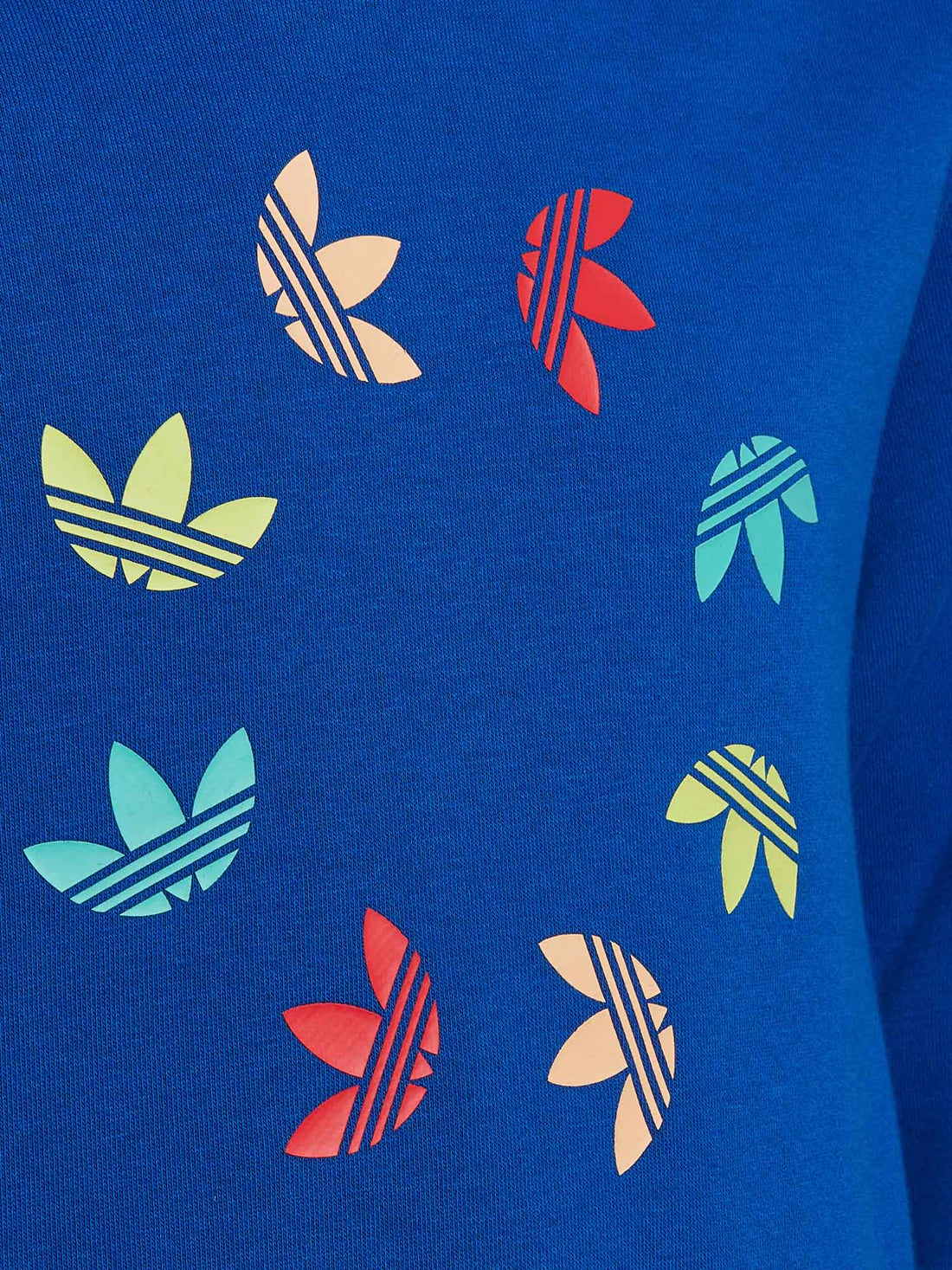 Felpe Blu Adidas Originals