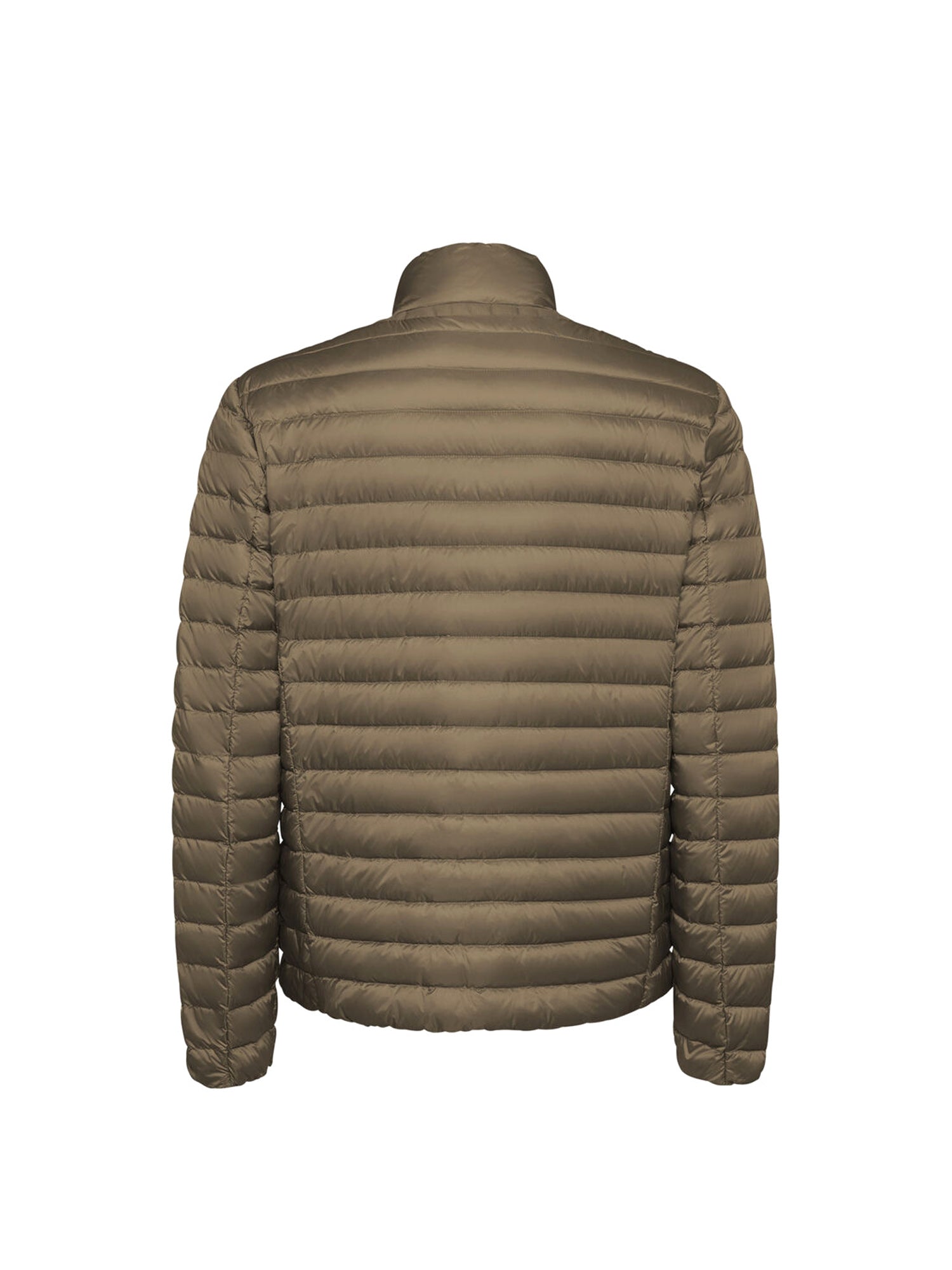 Piumini Marrone Geox