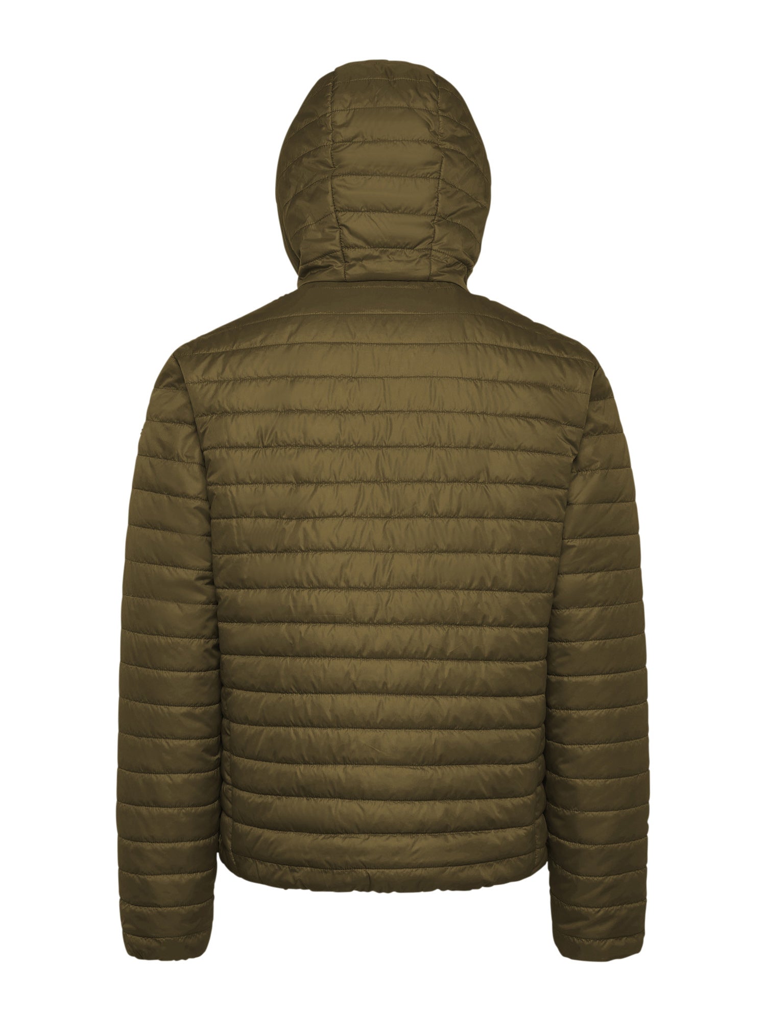 Piumini Marrone Geox