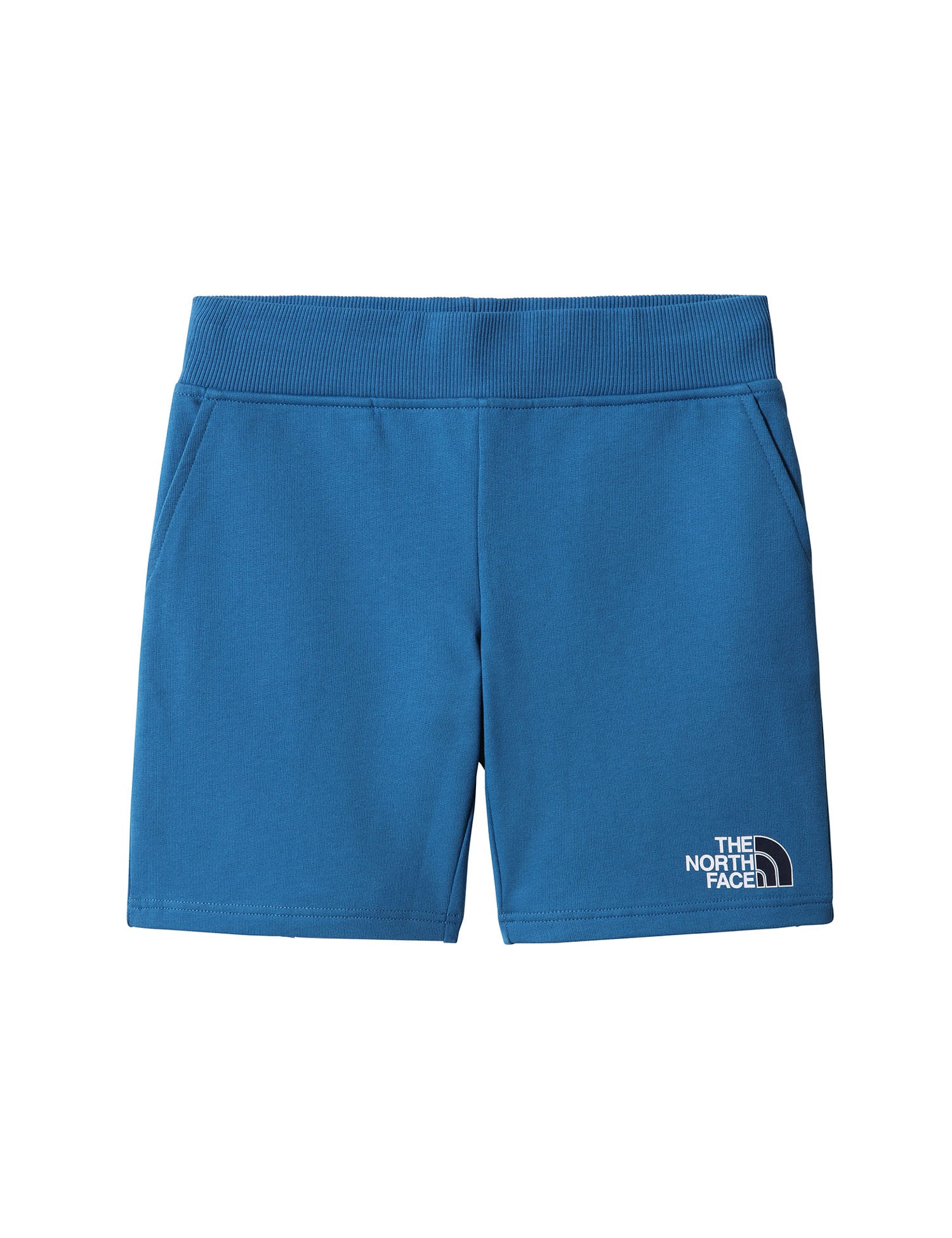 Shorts Blu The North Face