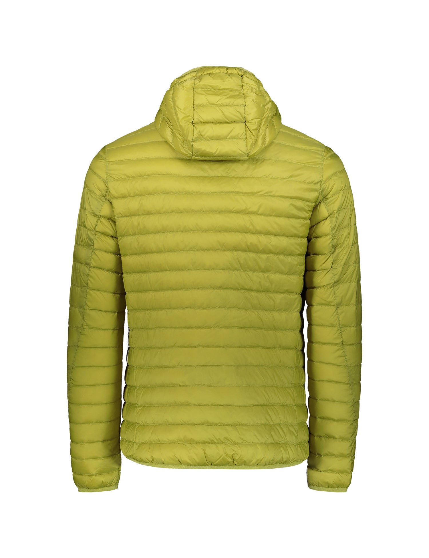 Piumini Verde Ciesse Piumini