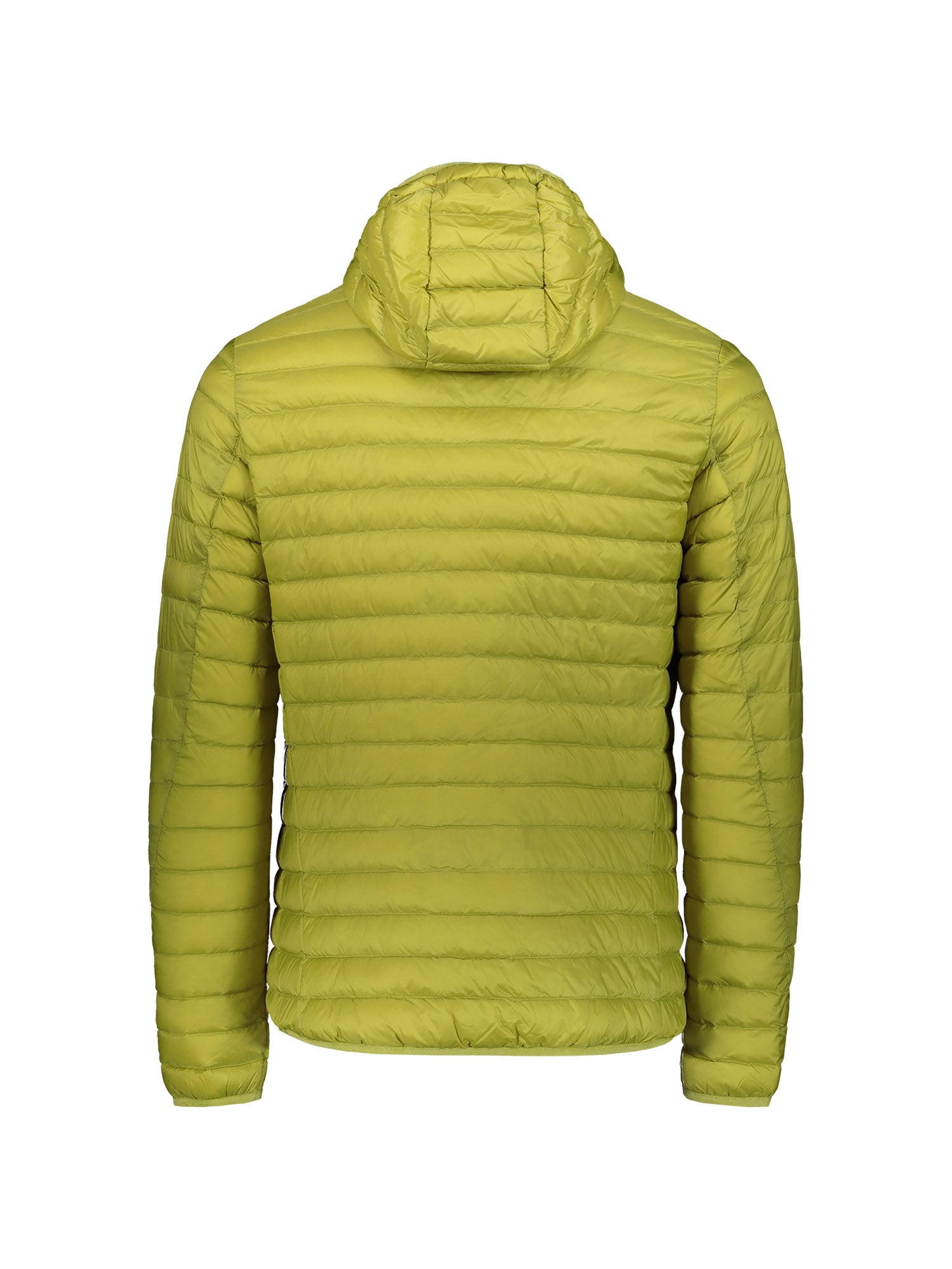 Piumini Verde Ciesse Piumini