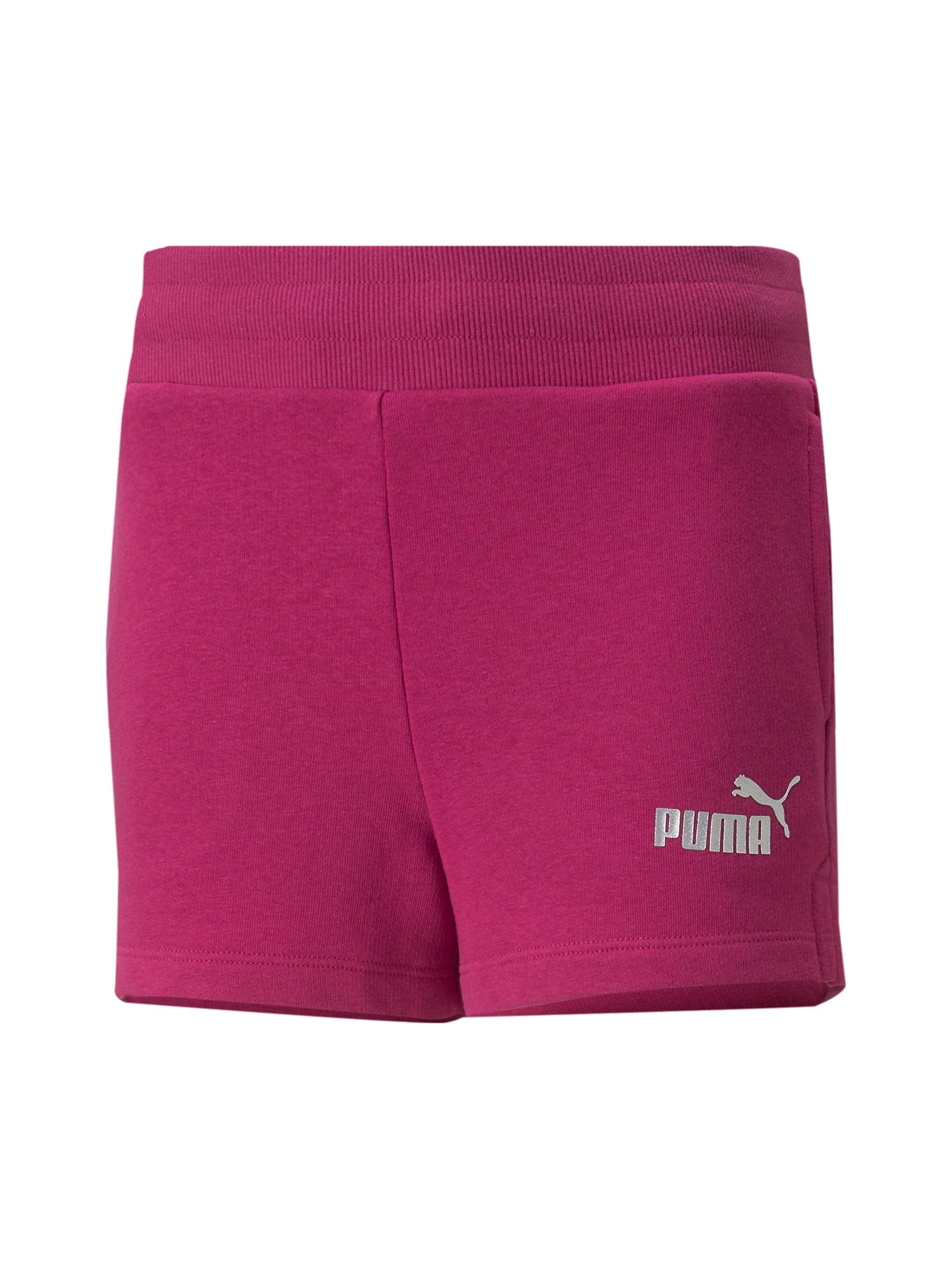 Puma Shorts 846963
