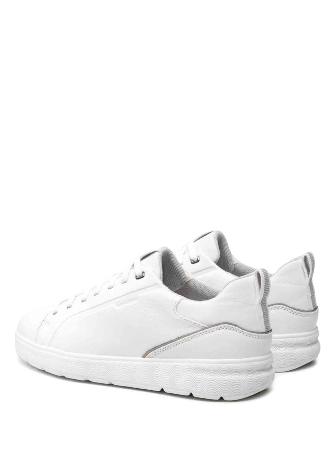 Sneakers Bianco Geox