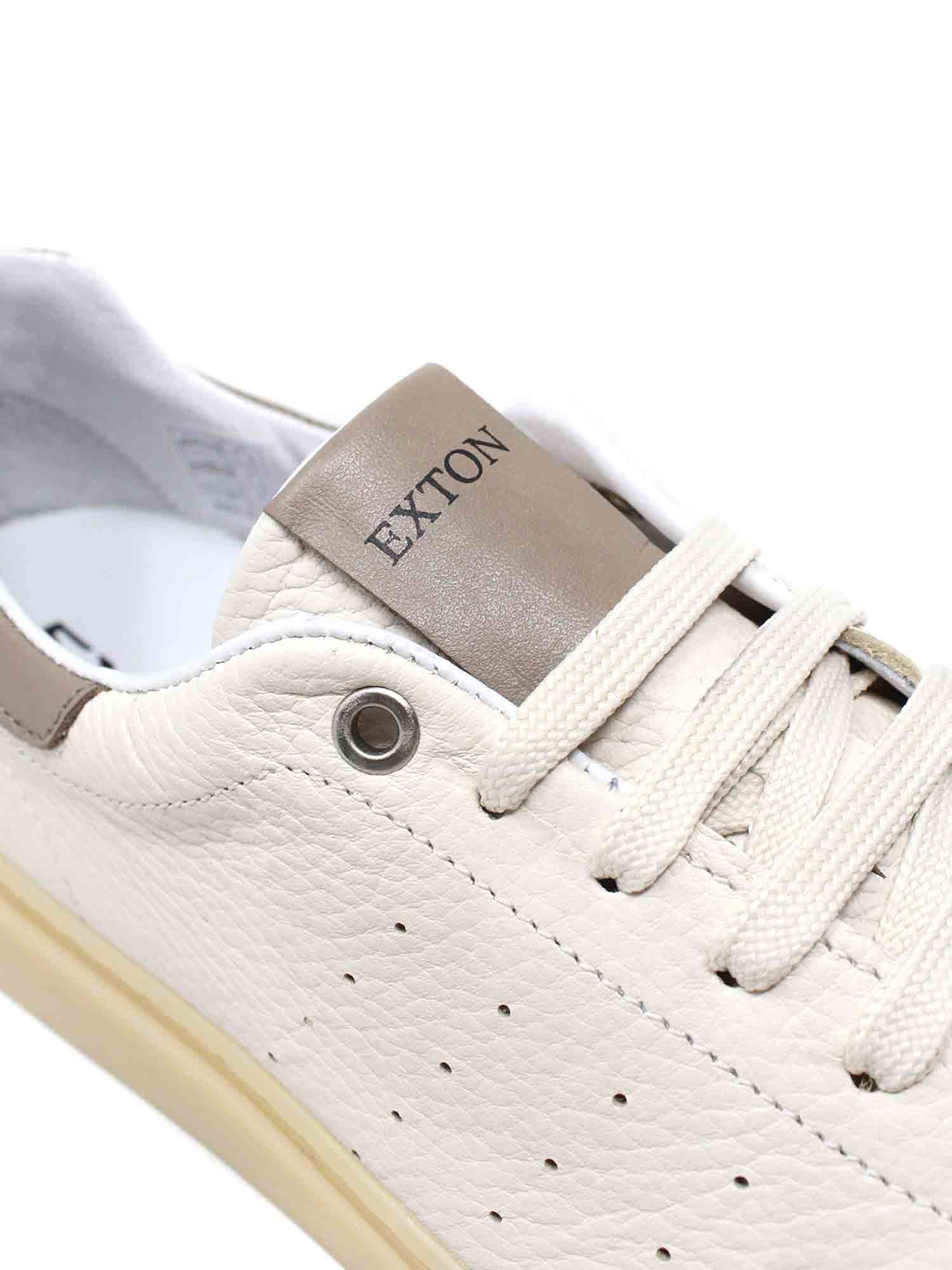Sneakers Beige Exton