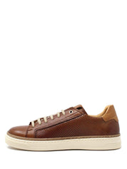 Sneakers Marrone Exton