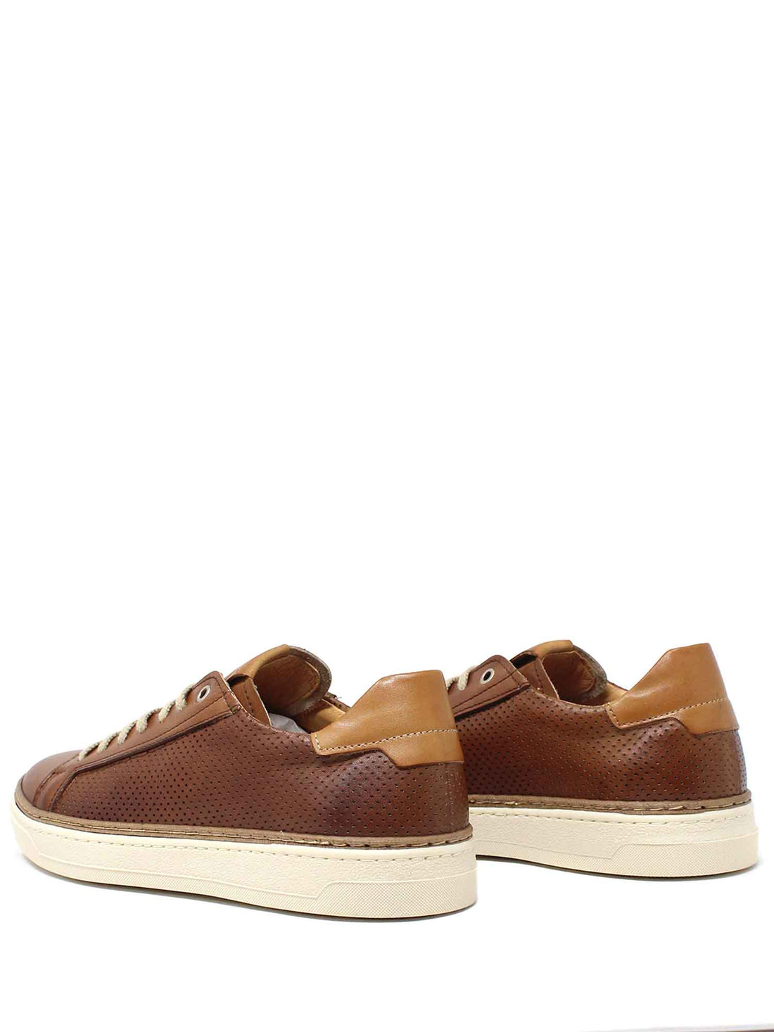 Sneakers Marrone Exton