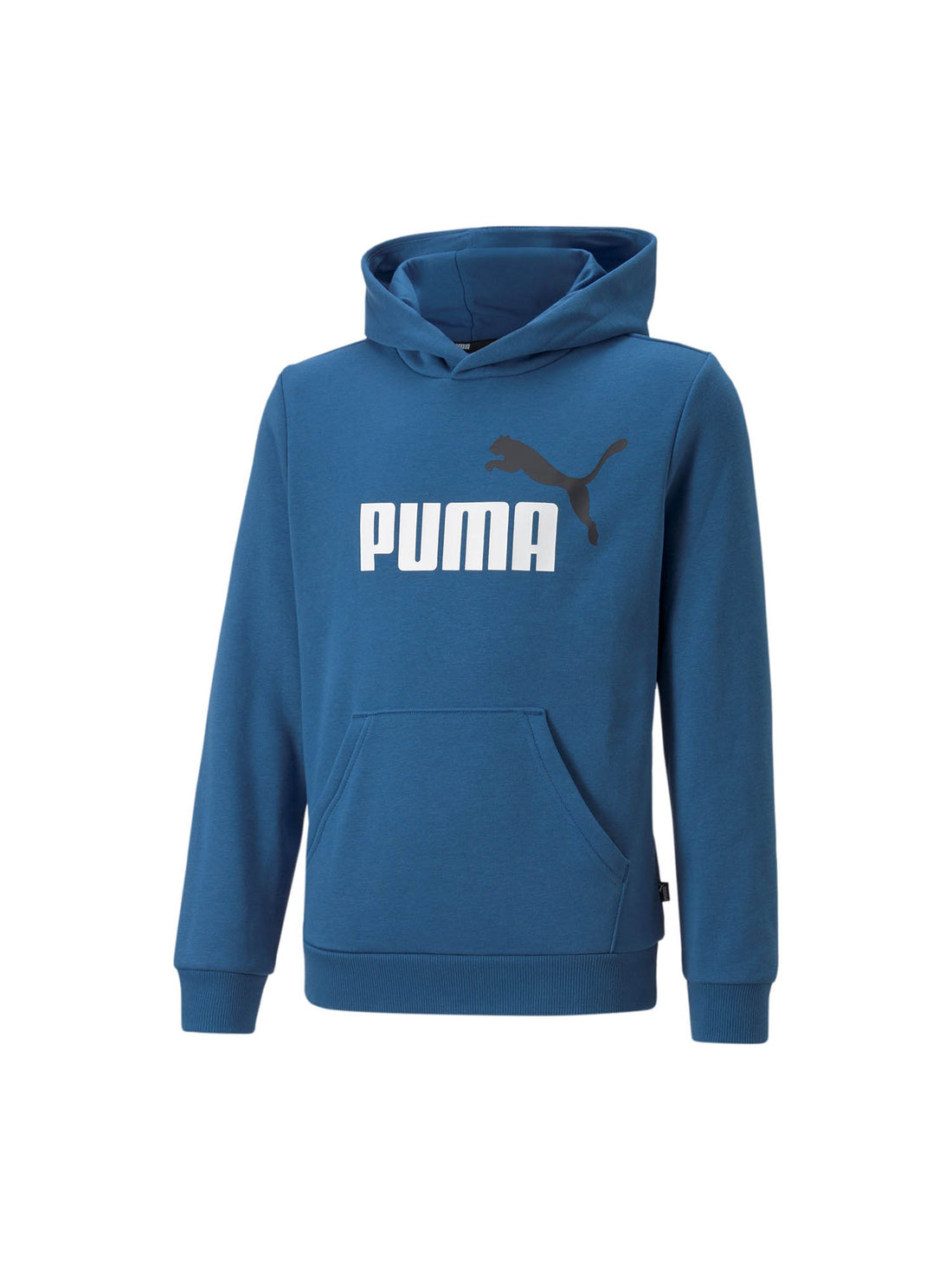 Felpe Blu Puma