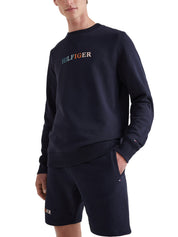 Felpe Blu Tommy Hilfiger