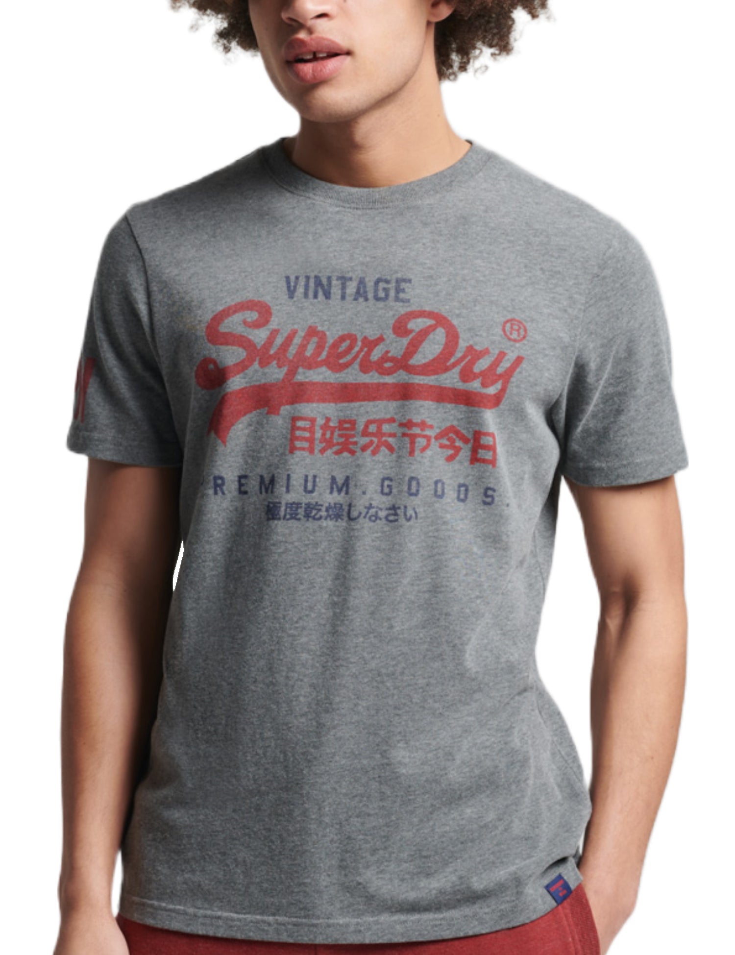 T-shirt Grigio Superdry