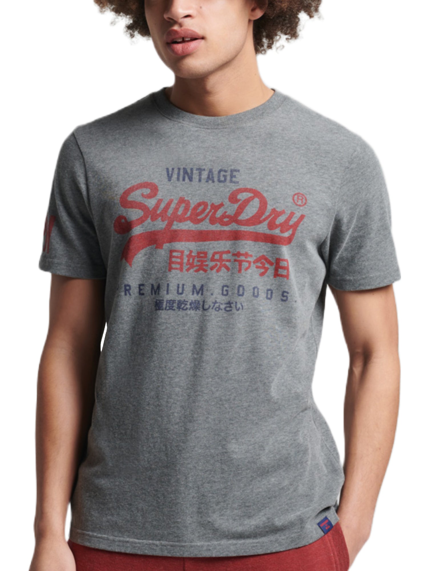 T-shirt Grigio Superdry