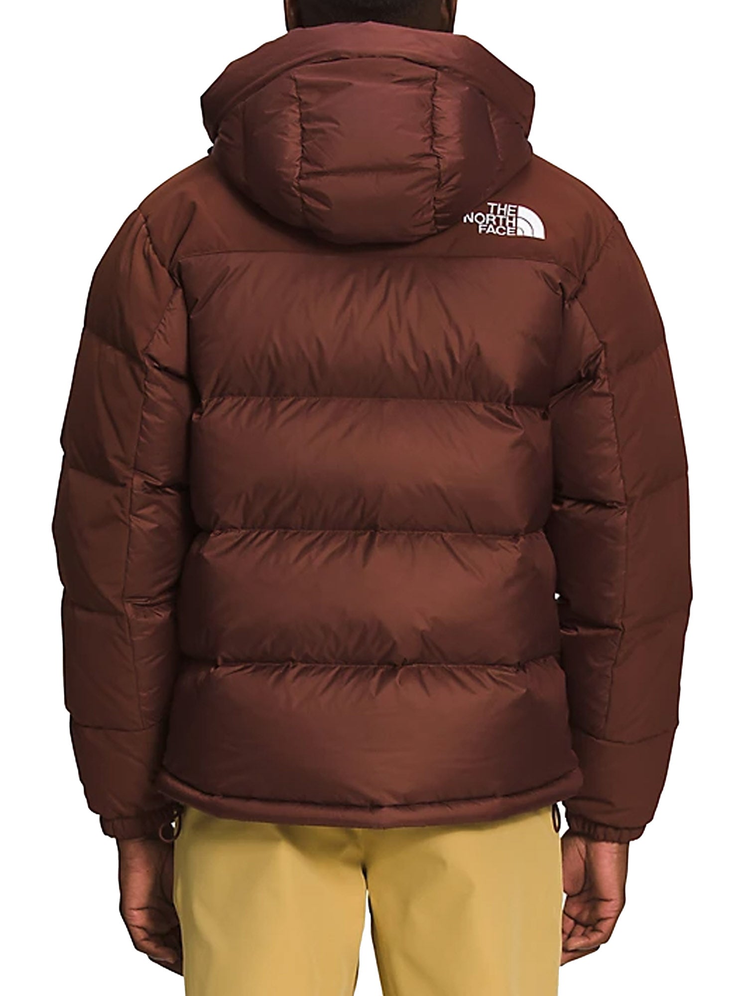 Piumini Marrone The North Face