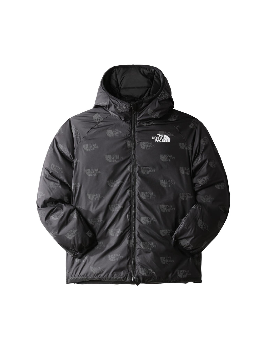 Piumini Nero The North Face