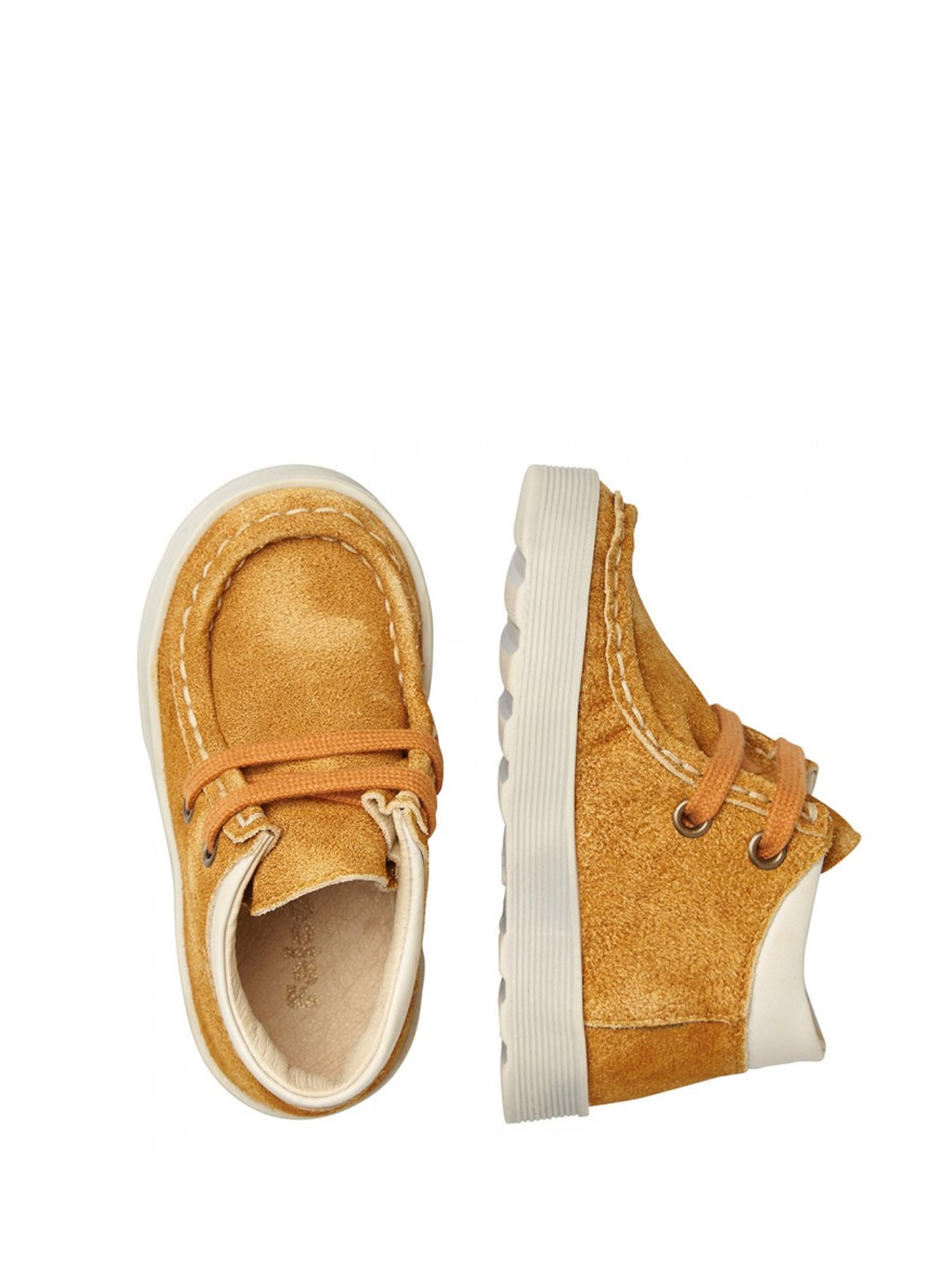 Polacchino Giallo Falcotto