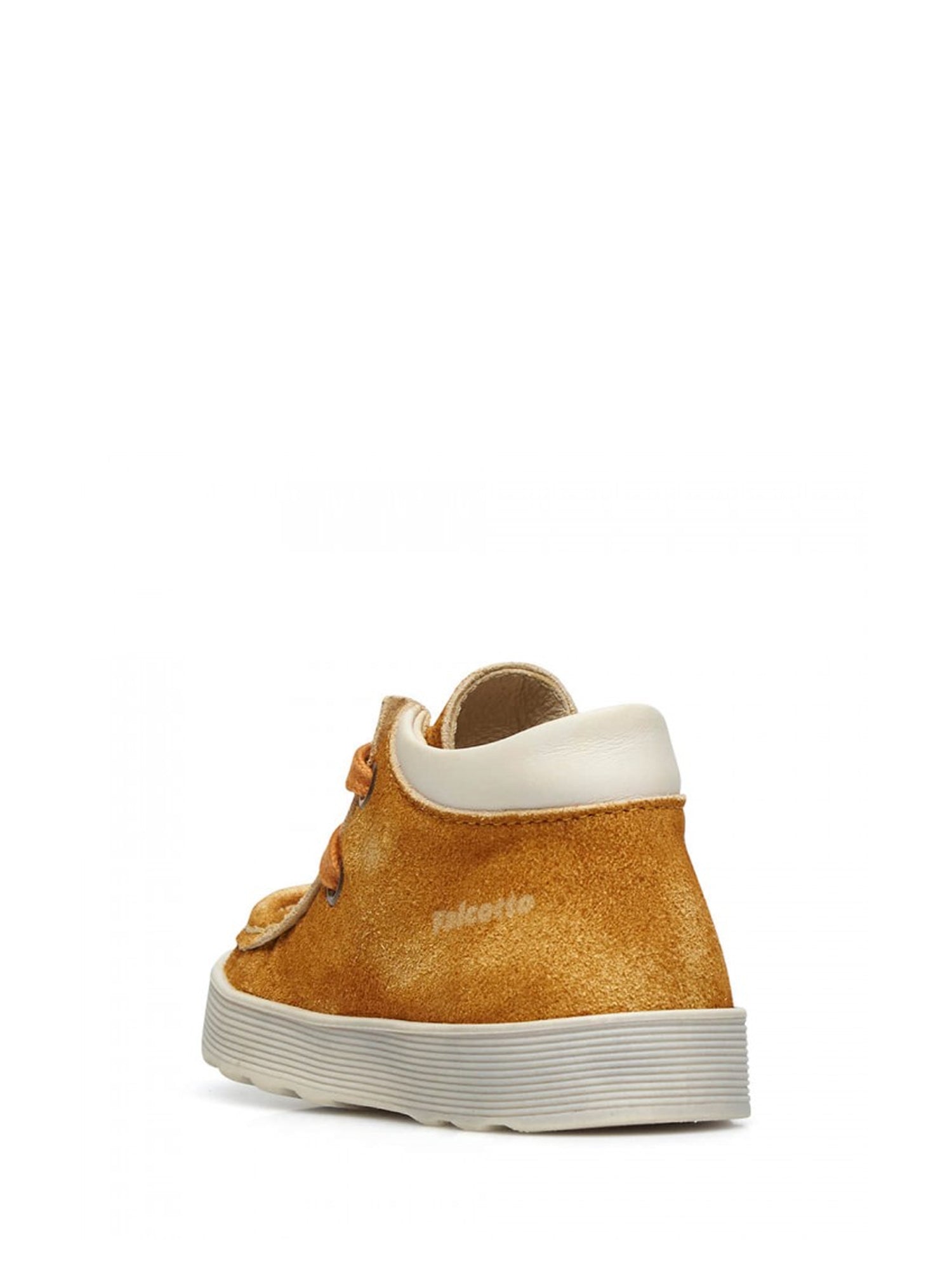 Polacchino Giallo Falcotto