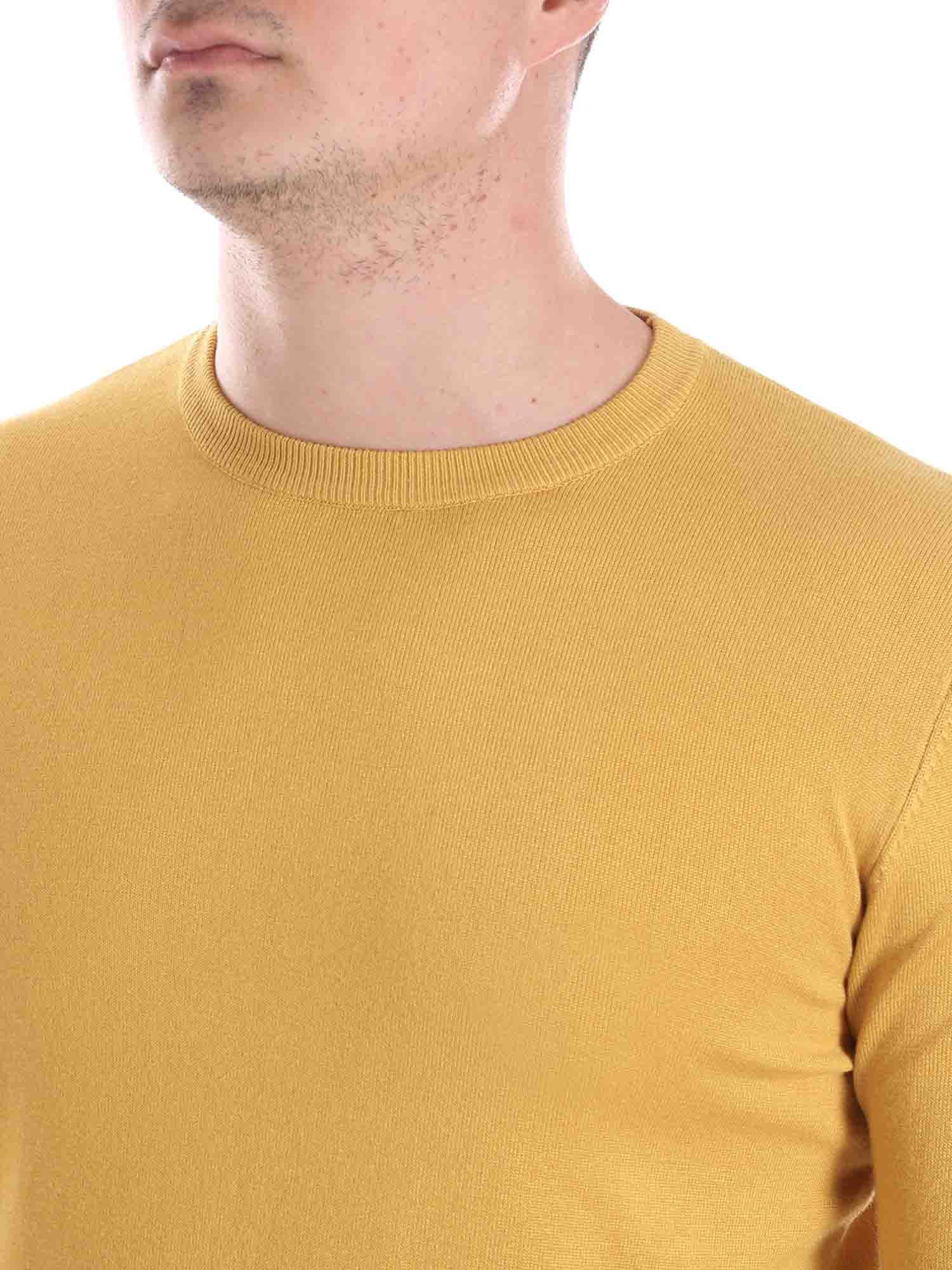 Maglioncini Giallo Borgoni Milano