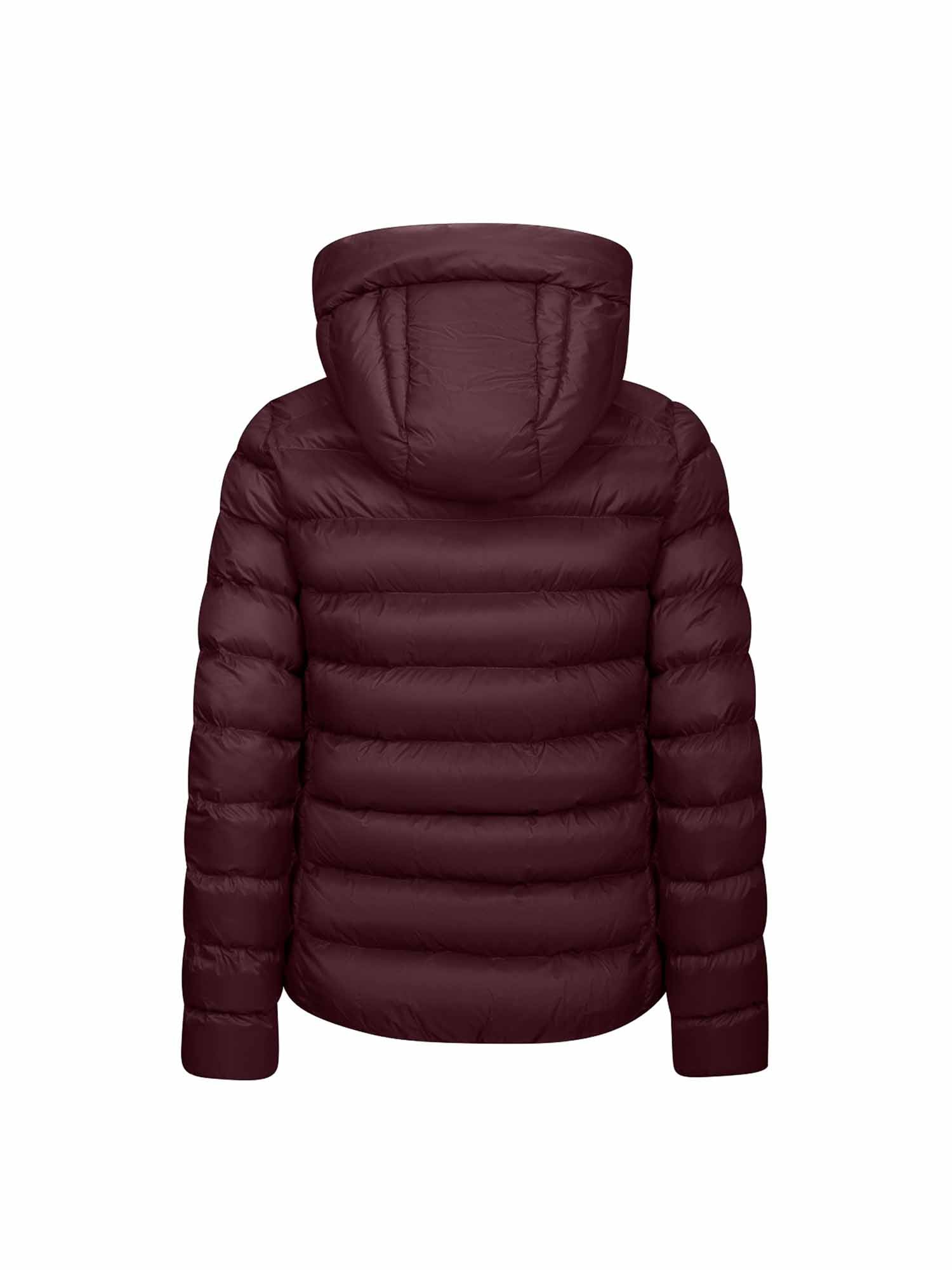 Piumini Bordeaux Invicta