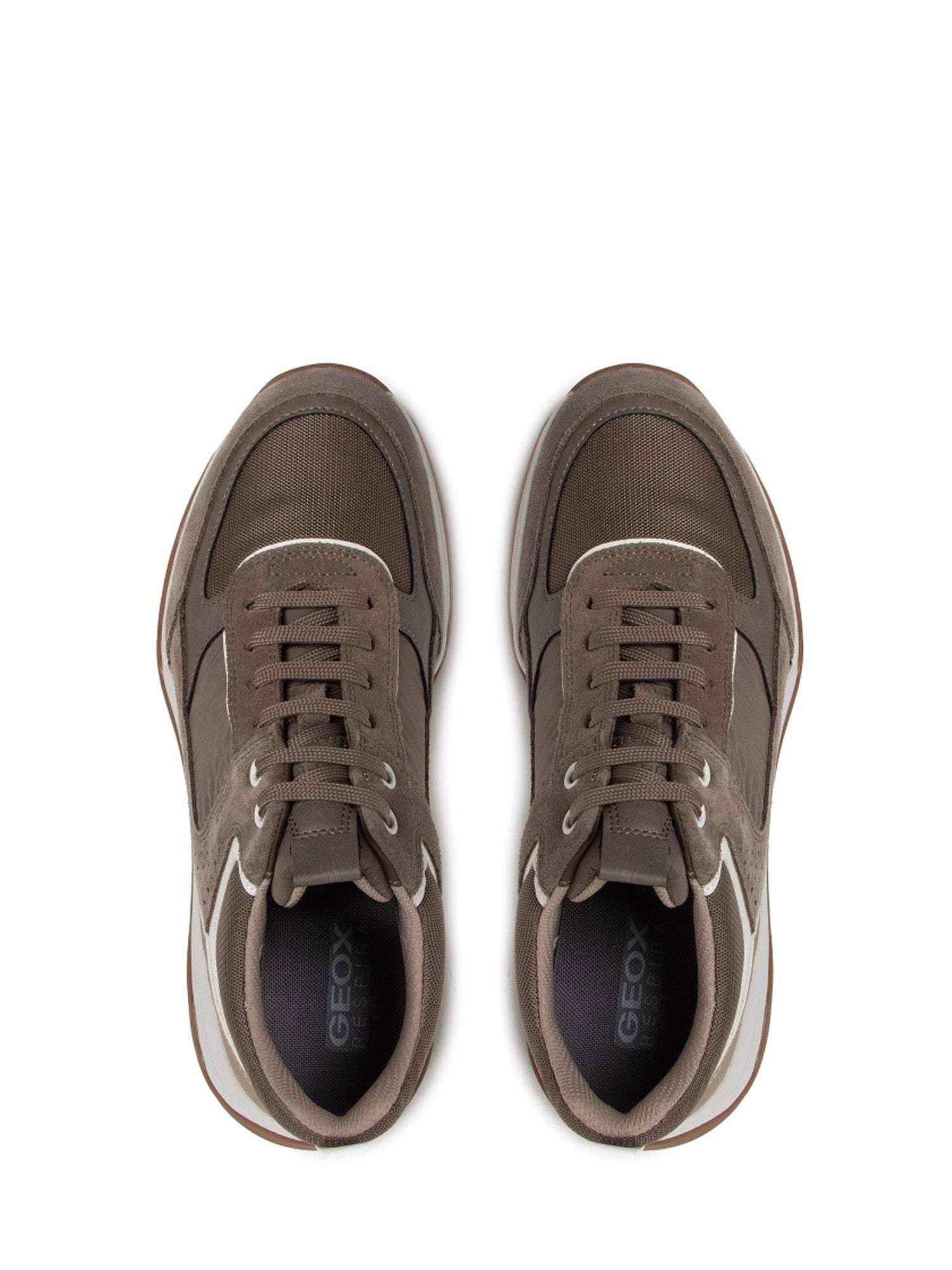 Sneakers Marrone Geox
