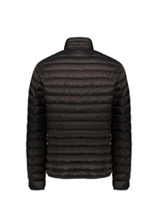 Piumini Grigio Ciesse Piumini