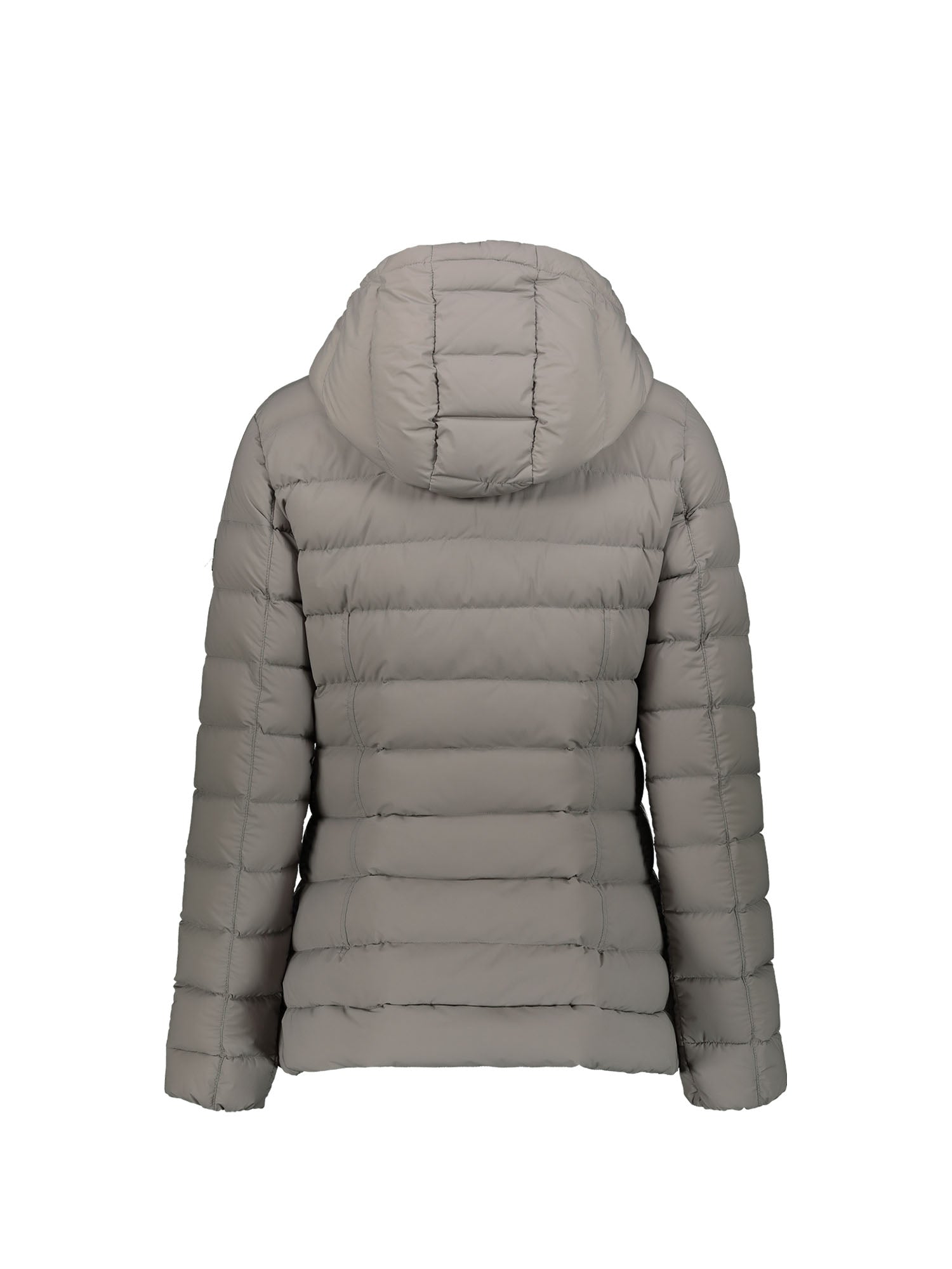 Piumini Grigio Ciesse Piumini