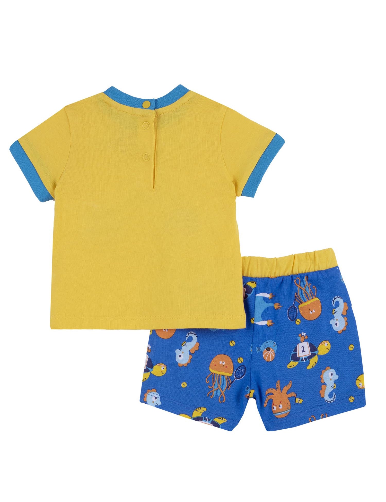 Completi Giallo Chicco