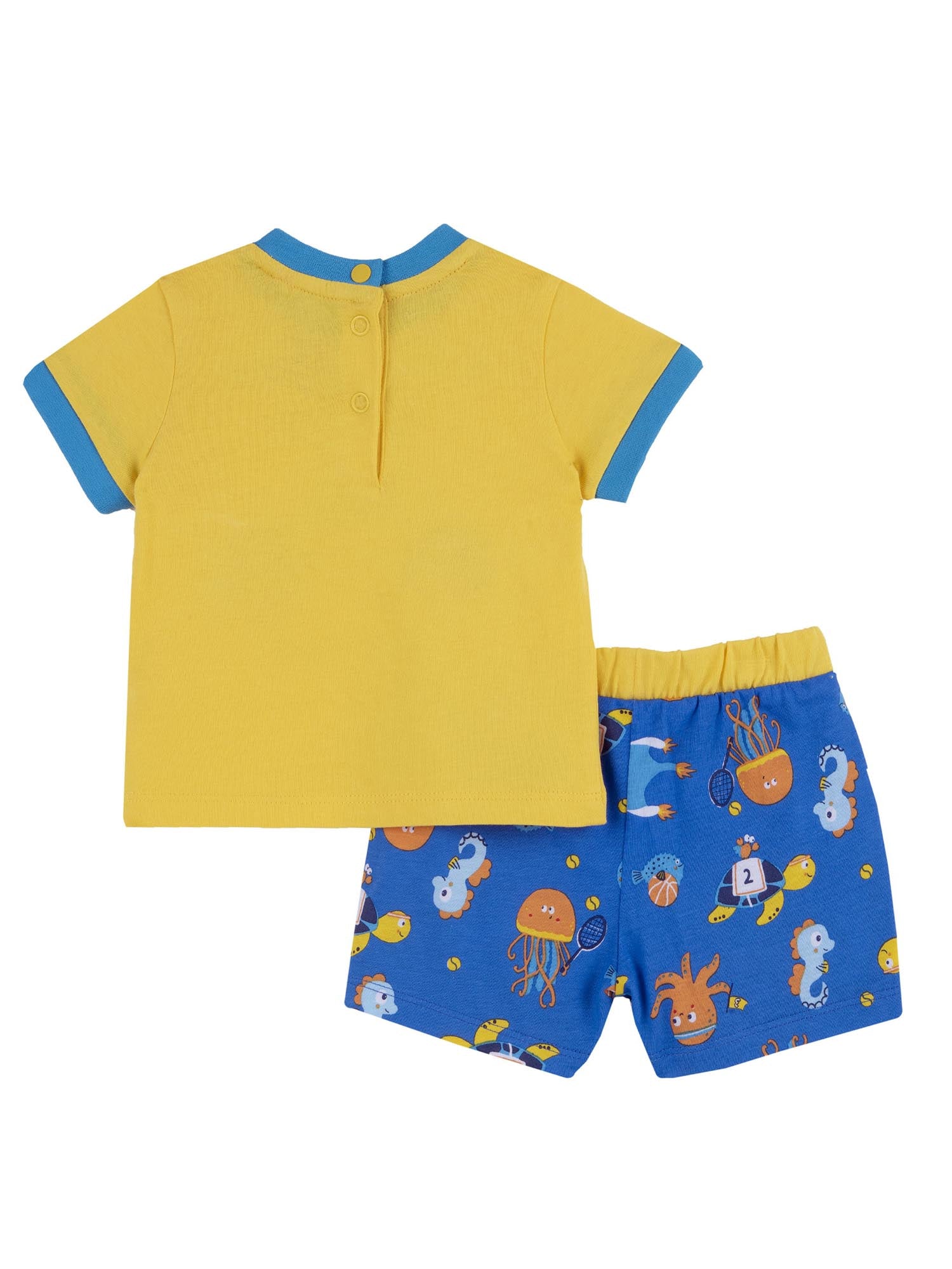 Completi Giallo Chicco