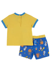 Completi Giallo Chicco