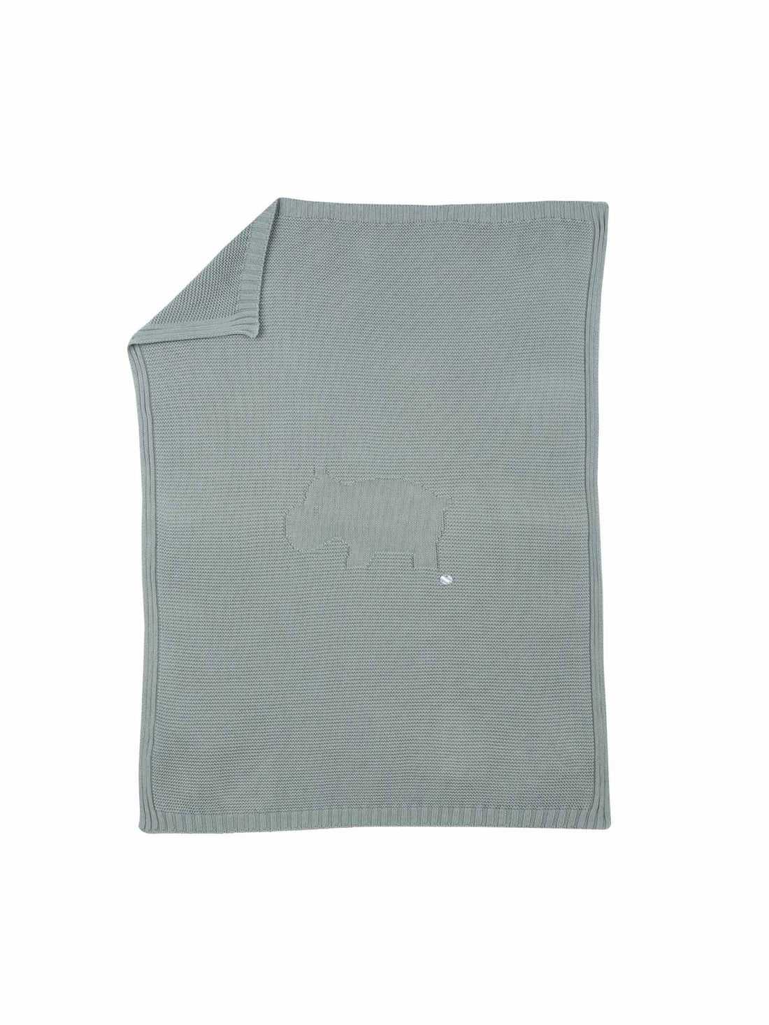 Coperta Verde Chicco