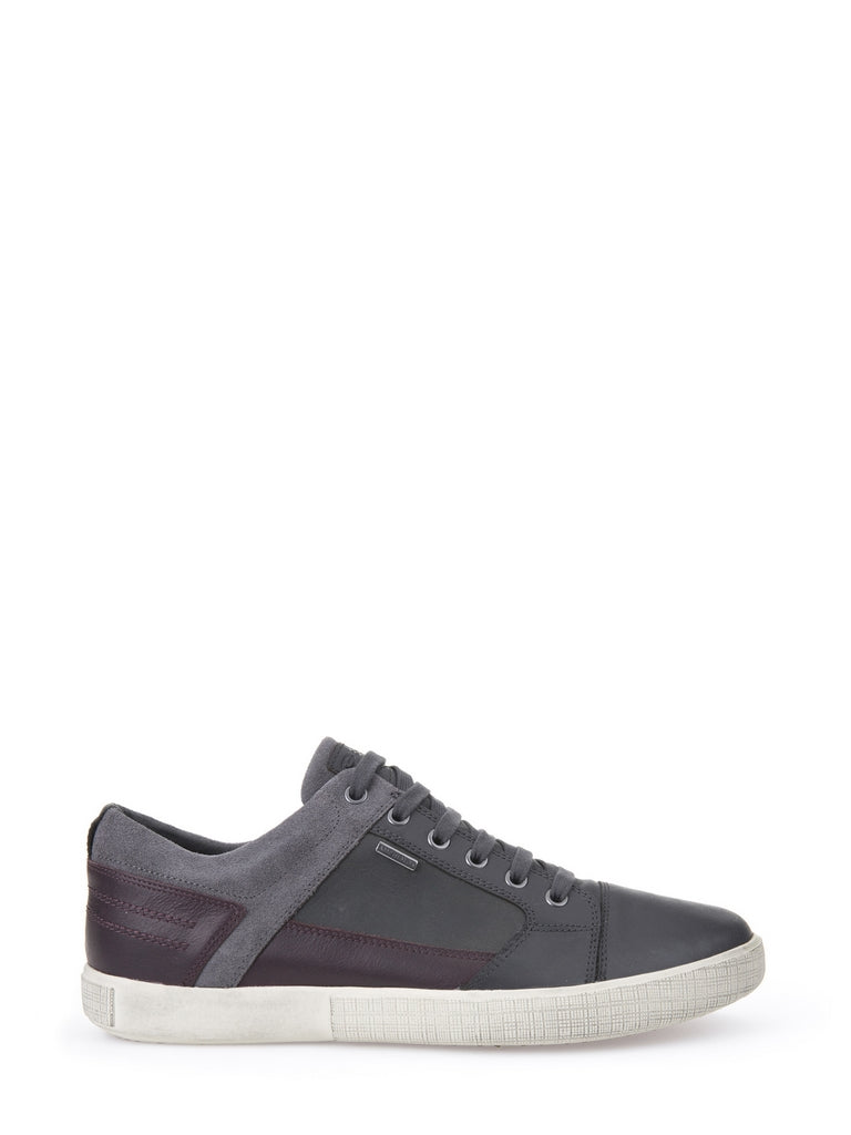 Sneakers Grigio Geox