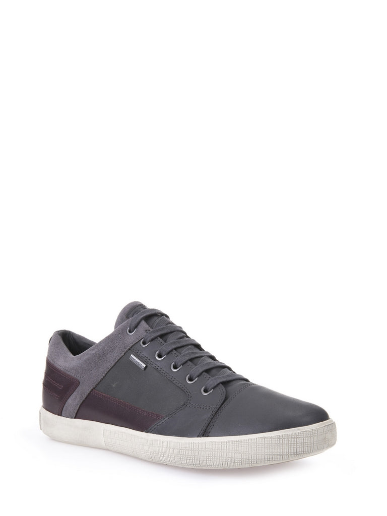 Sneakers Grigio Geox