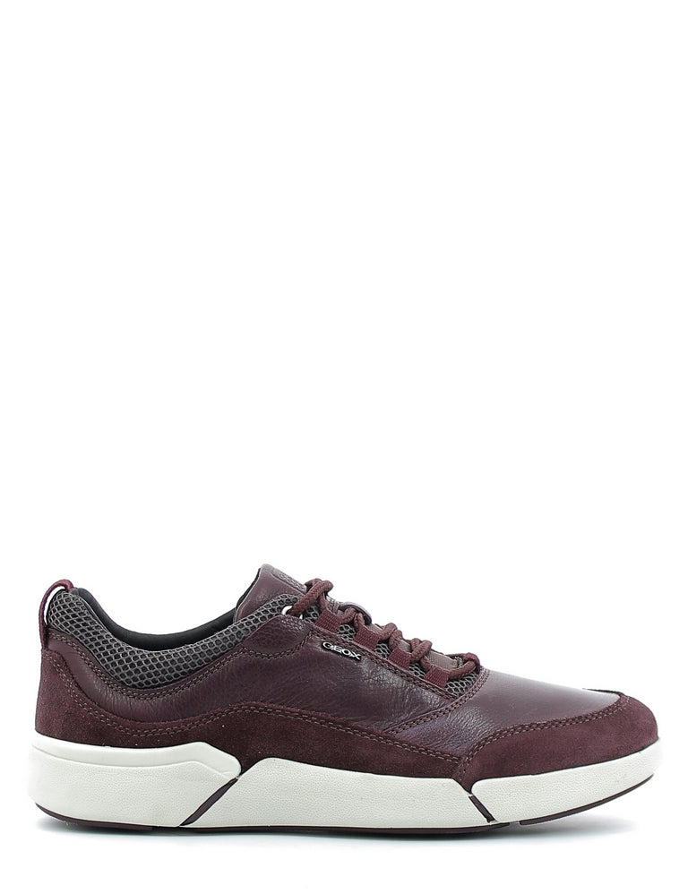Sneakers Bordeaux Geox