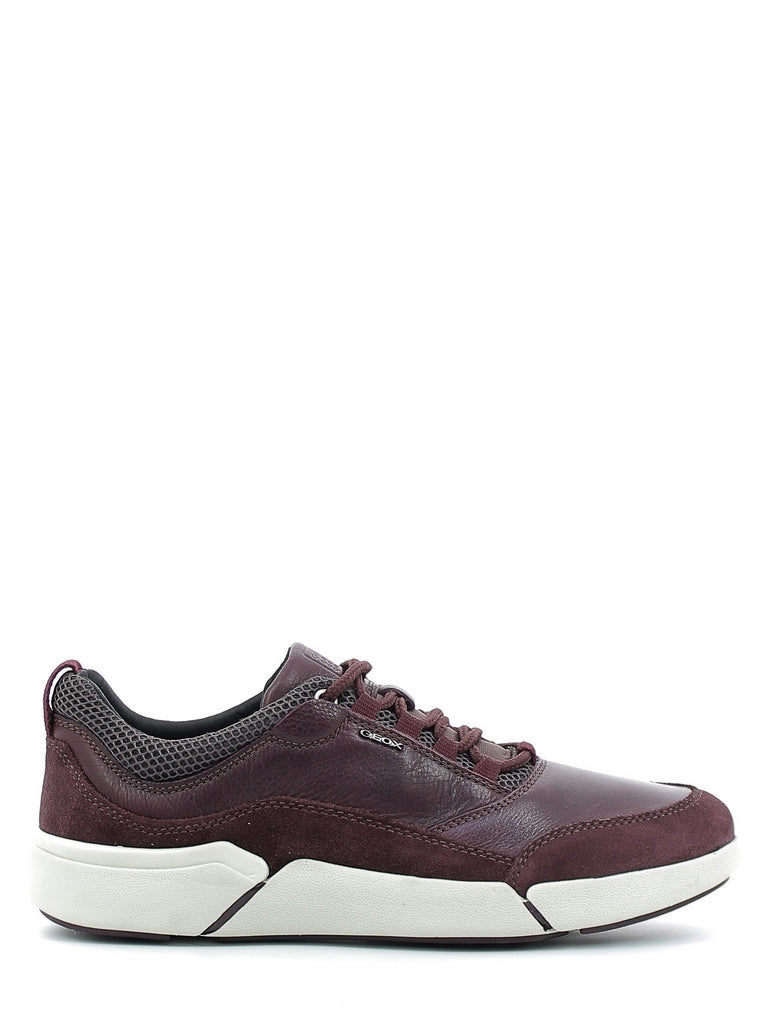 Sneakers Bordeaux Geox