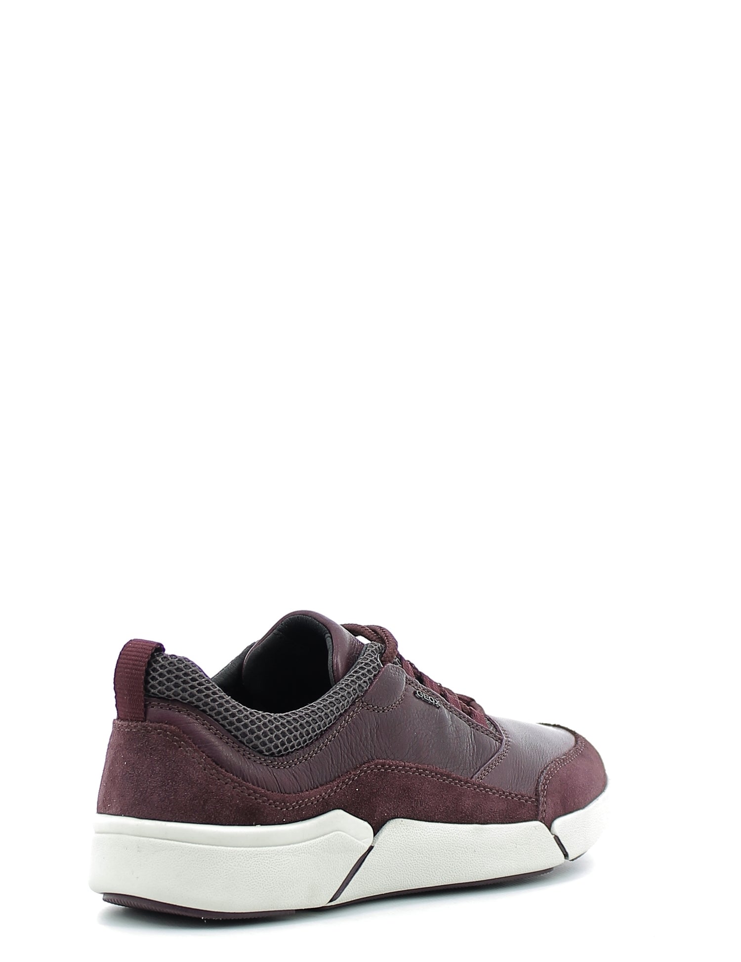 Sneakers Bordeaux Geox