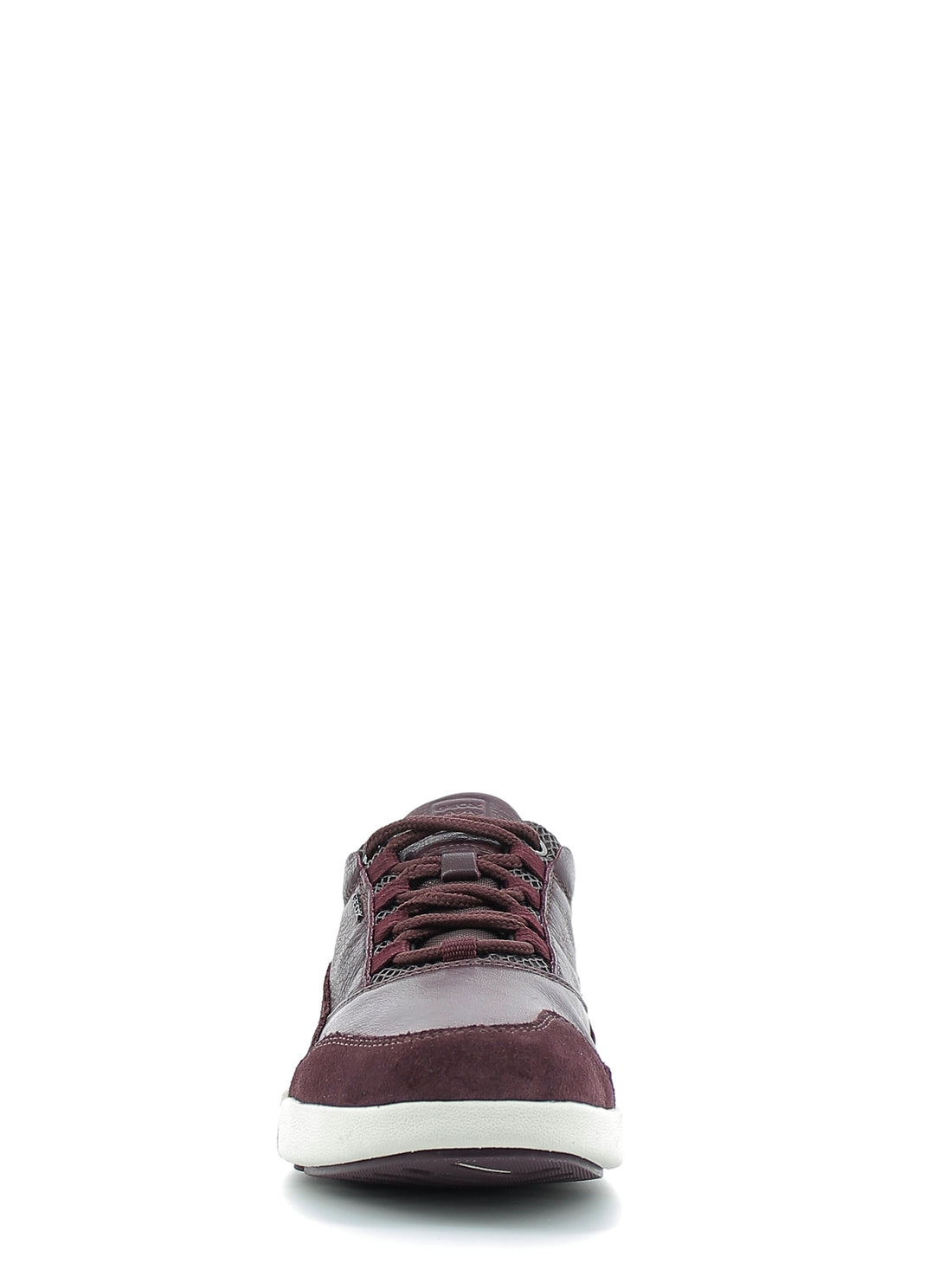 Sneakers Bordeaux Geox