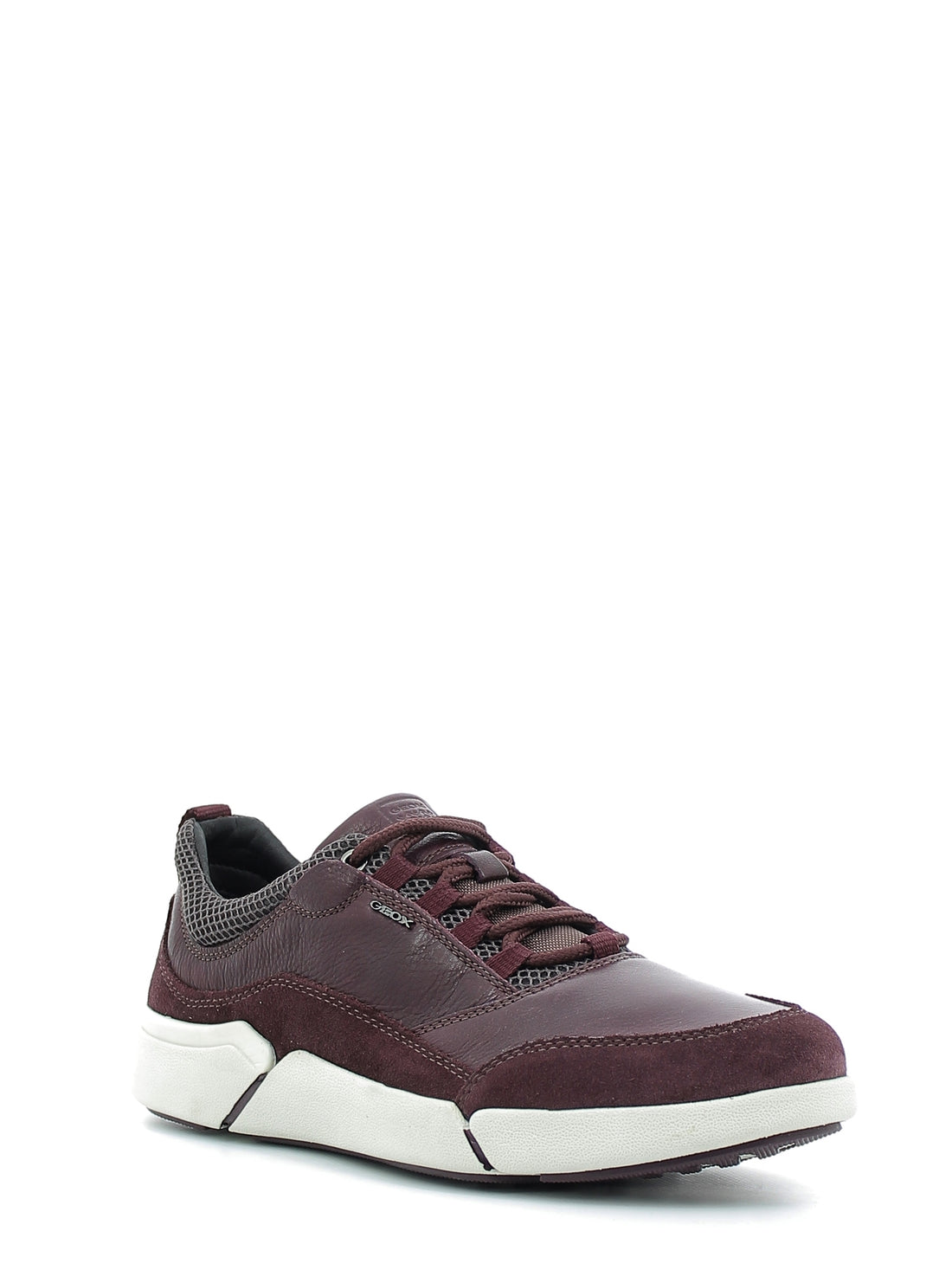 Sneakers Bordeaux Geox