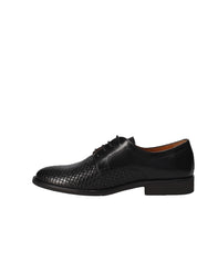 Francesine Nero Stonefly