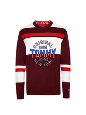 Maglioncini Bordeaux Tommy Hilfiger