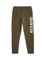 Pantaloni sportivi Verde Calvin Klein Performance 