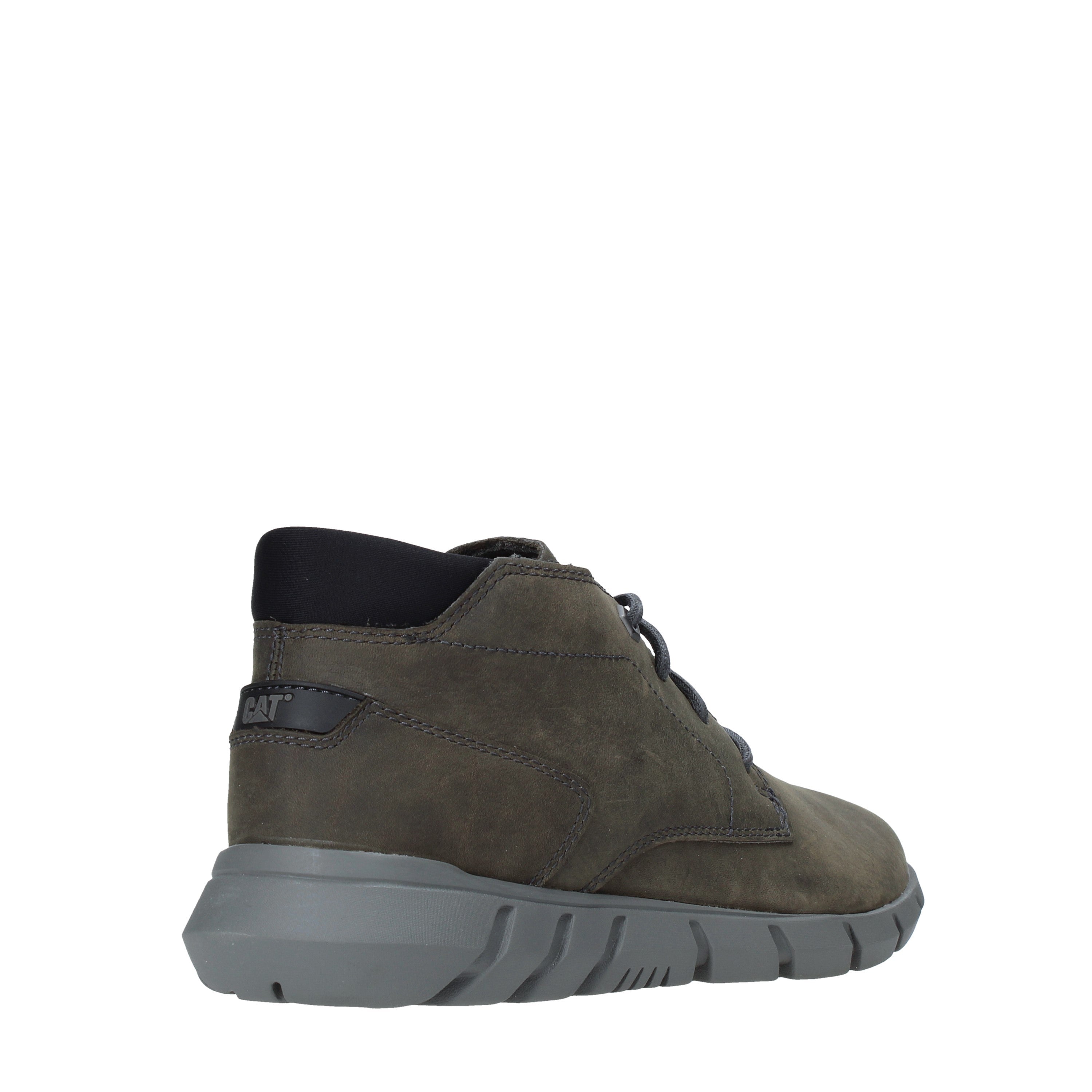 Polacchino Grigio Cat